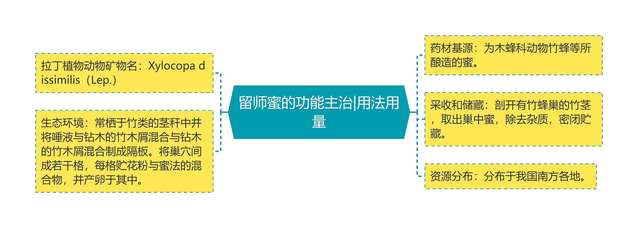 留师蜜的功能主治|用法用量 留师蜜的功能主治|用法用量
