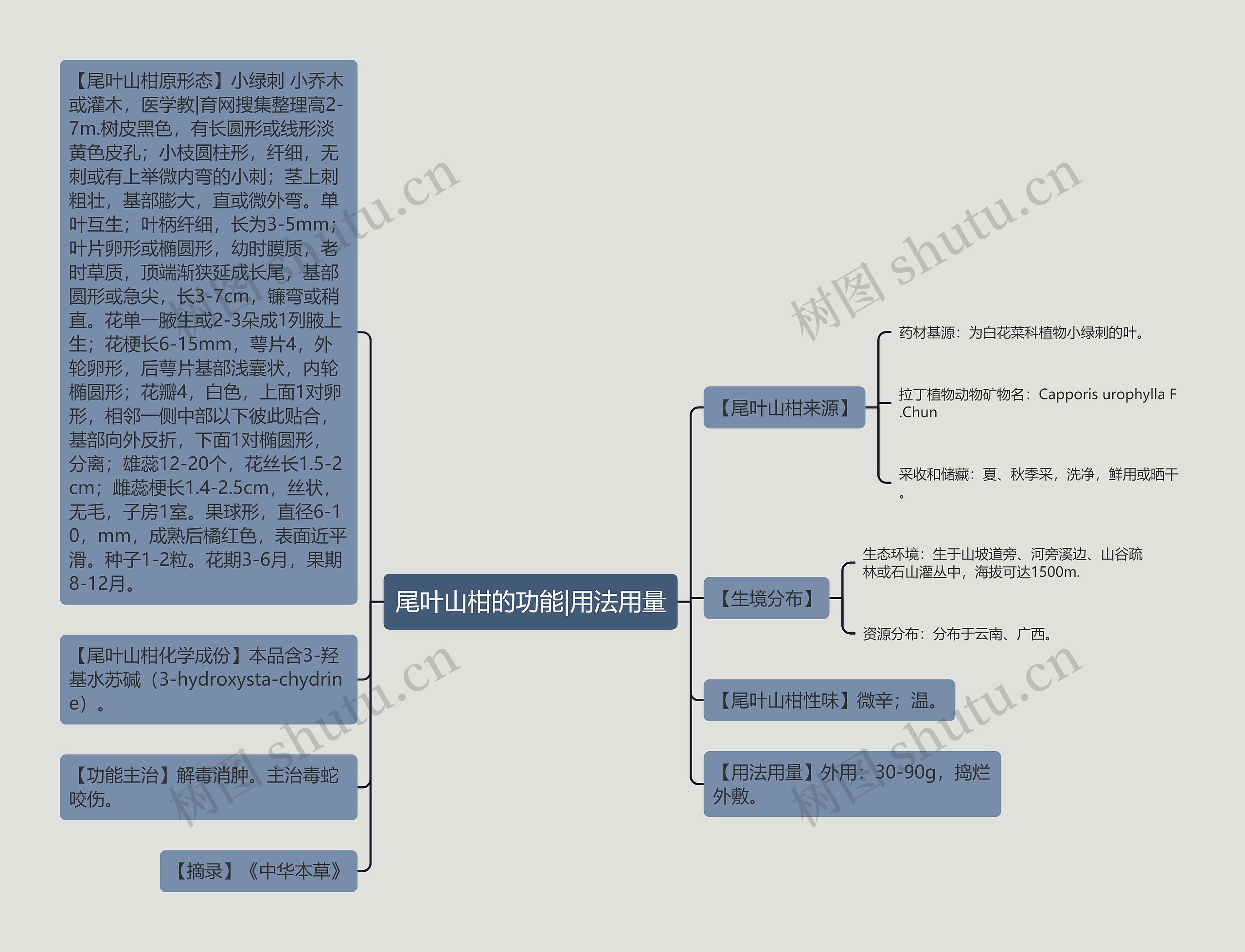 尾叶山柑的功能|用法用量思维导图