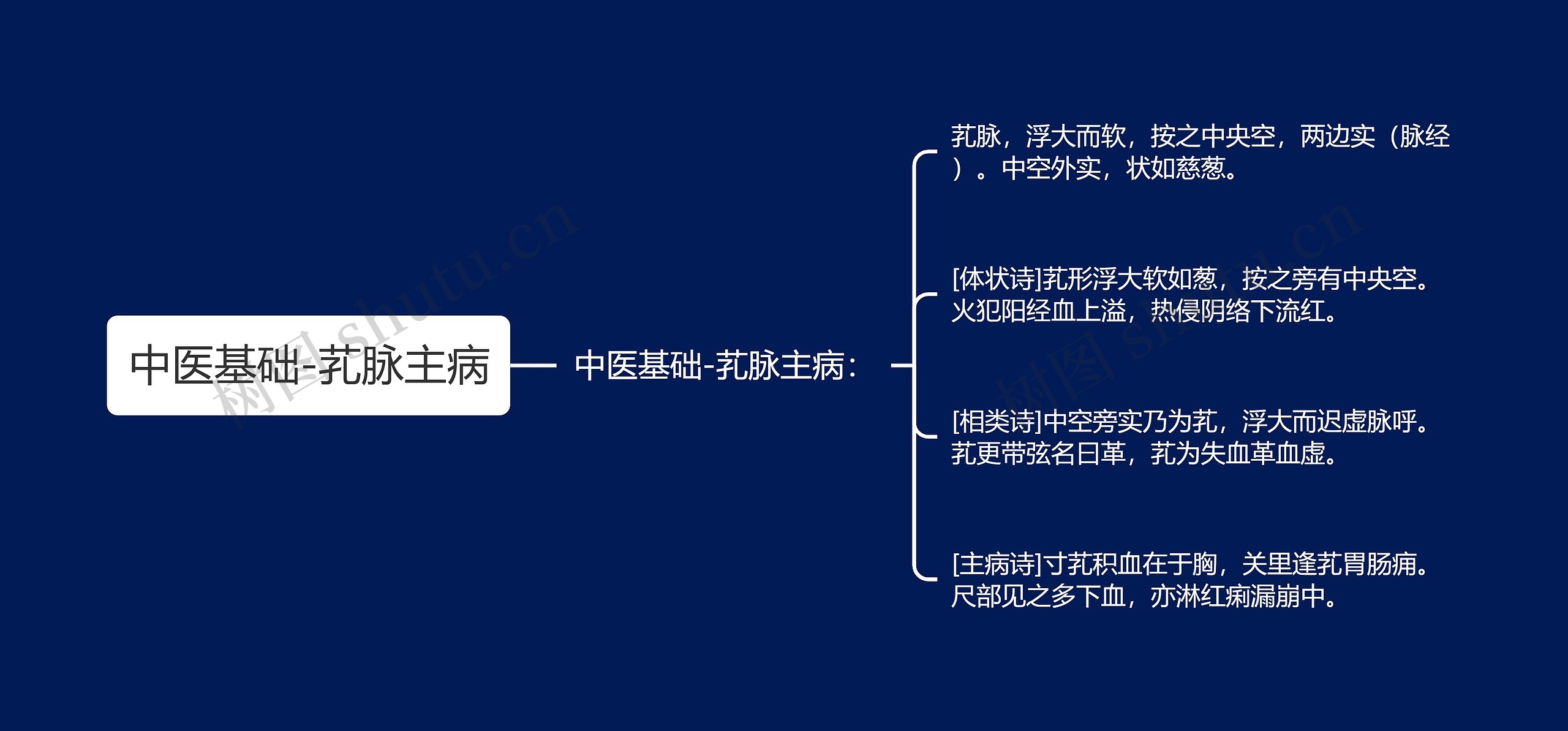 中医基础-芤脉主病 中医基础-芤脉主病