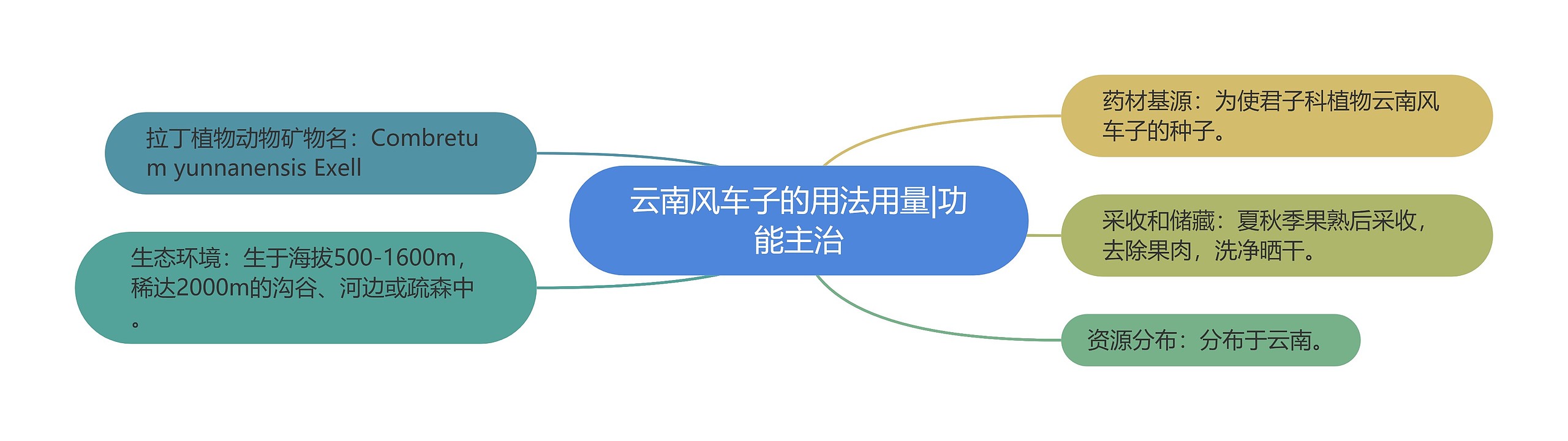 云南风车子的用法用量|功能主治 云南风车子的用法用量|功能主治