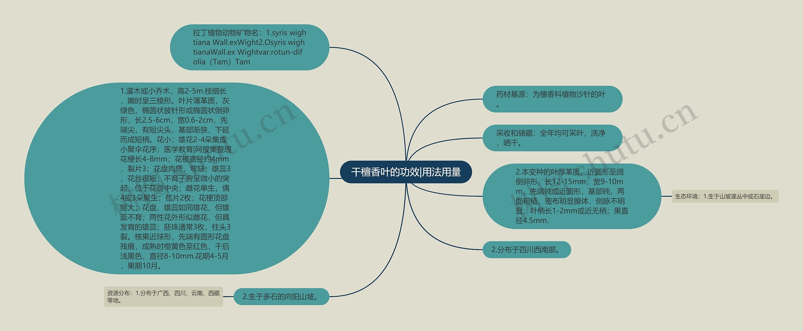 干檀香叶的功效|用法用量思维导图