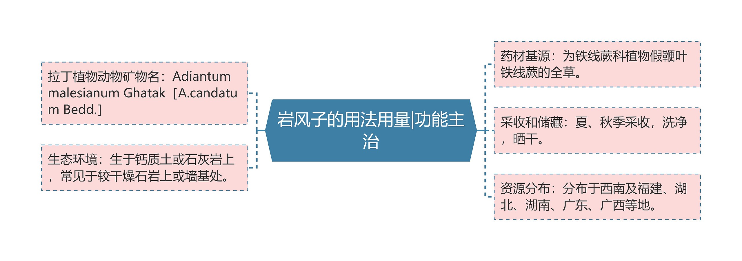 岩风子的用法用量|功能主治 岩风子的用法用量|功能主治