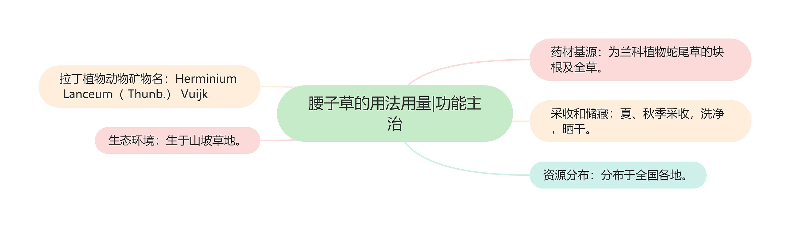 腰子草的用法用量|功能主治 腰子草的用法用量|功能主治