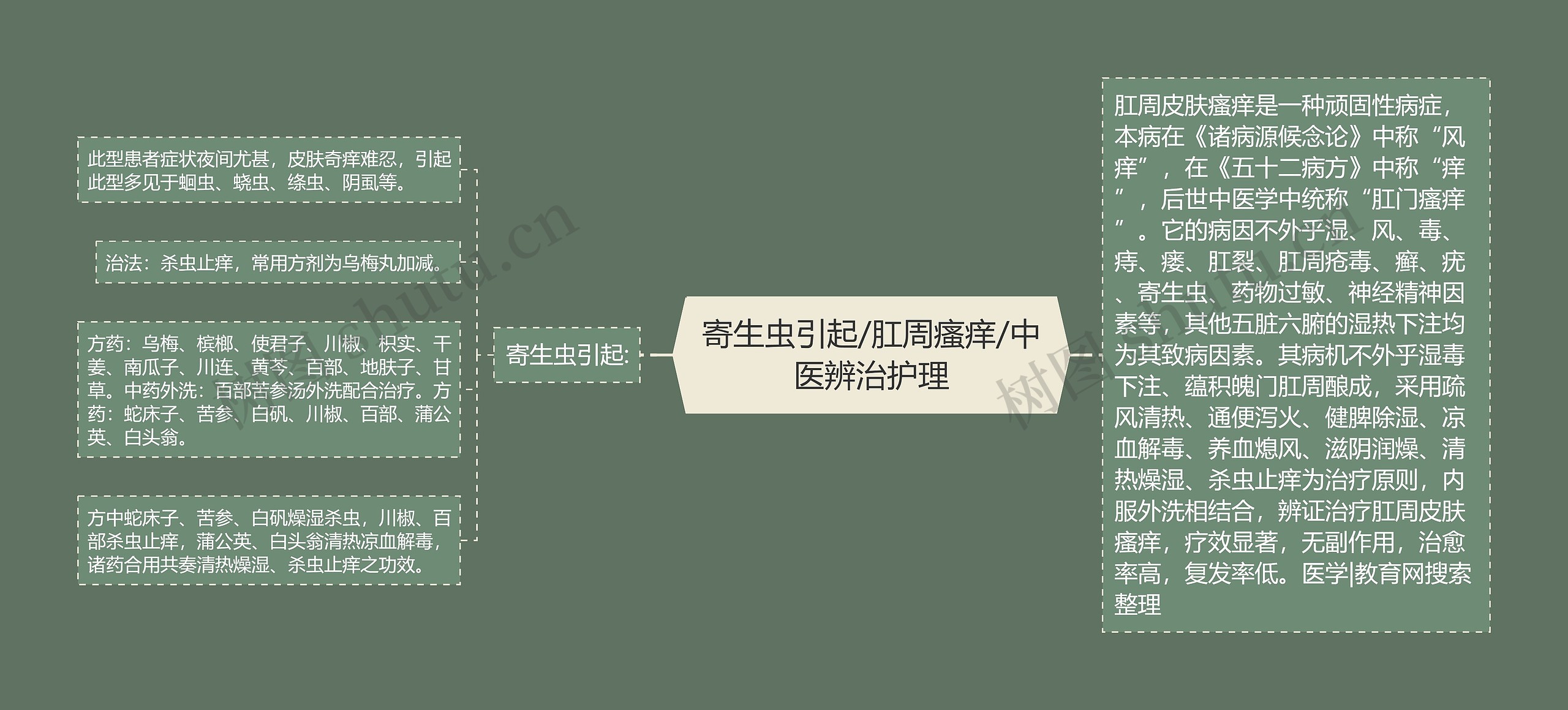 寄生虫引起/肛周瘙痒/中医辨治护理 寄生虫引起/肛周瘙痒/中医辨治护理