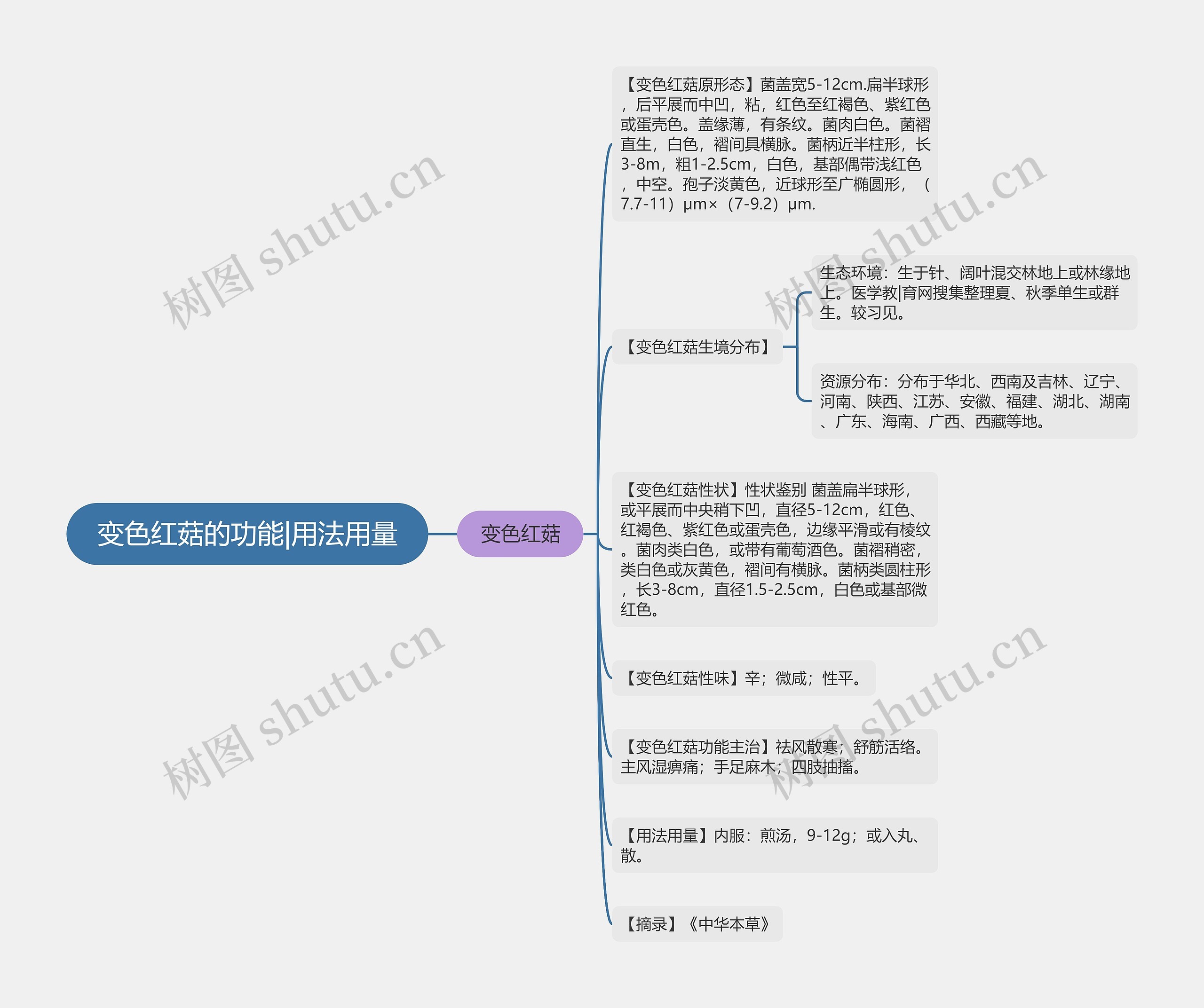 变色红菇的功能|用法用量思维导图