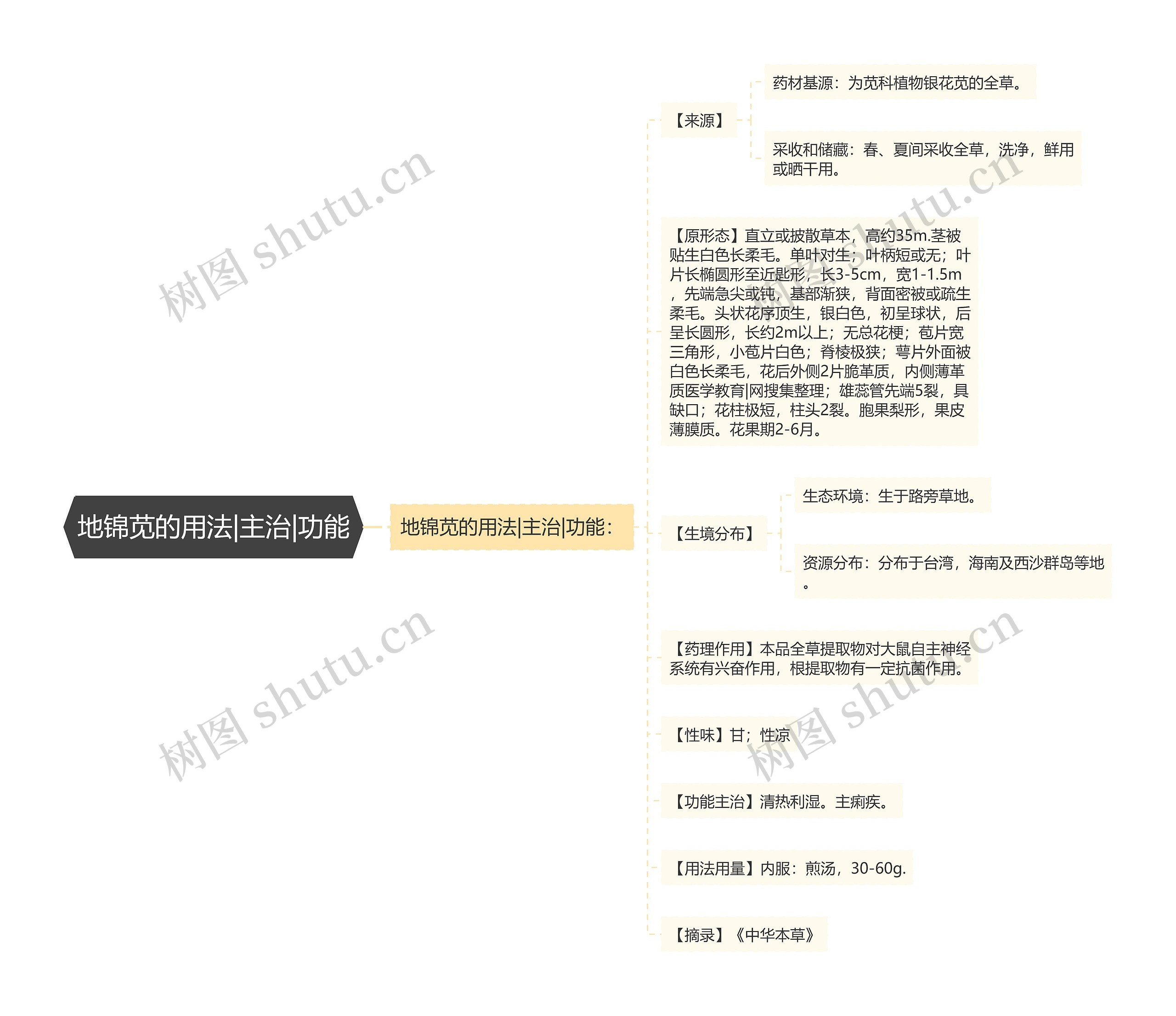 地锦苋的用法|主治|功能 地锦苋的用法|主治|功能