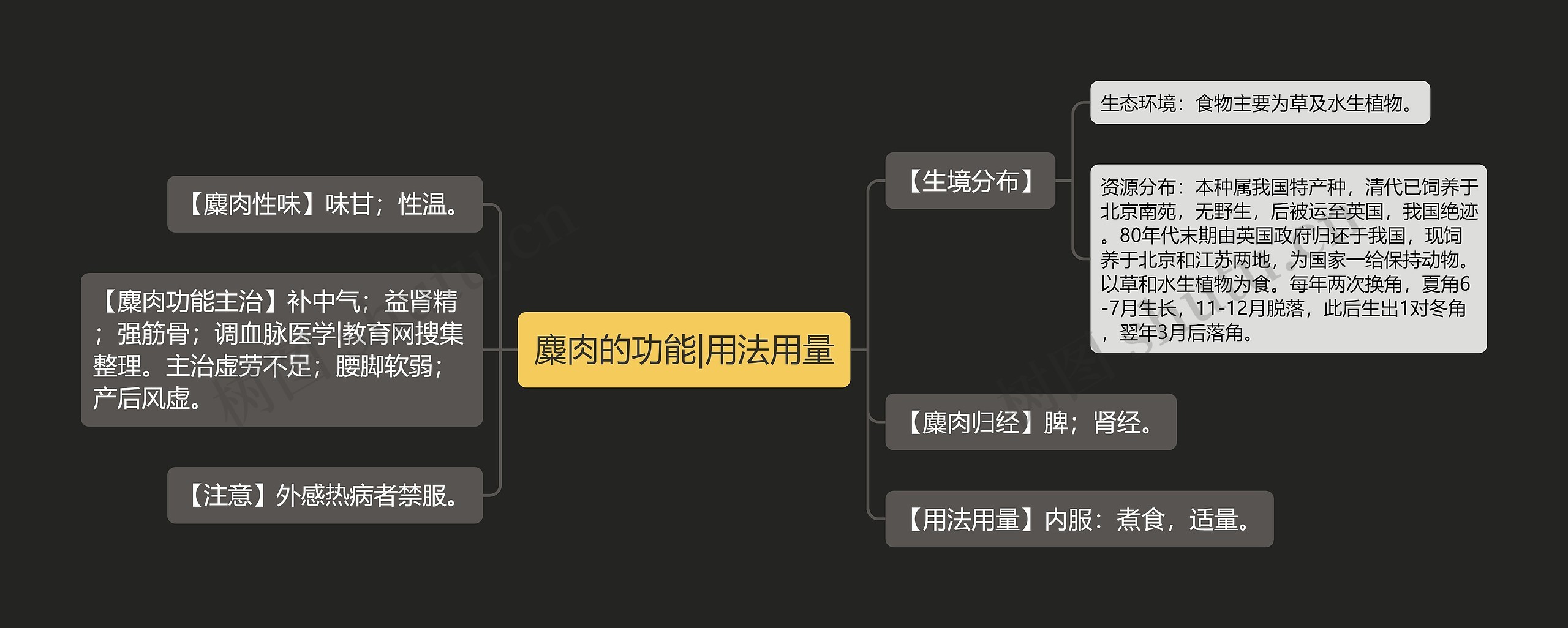 麋肉的功能|用法用量思维导图