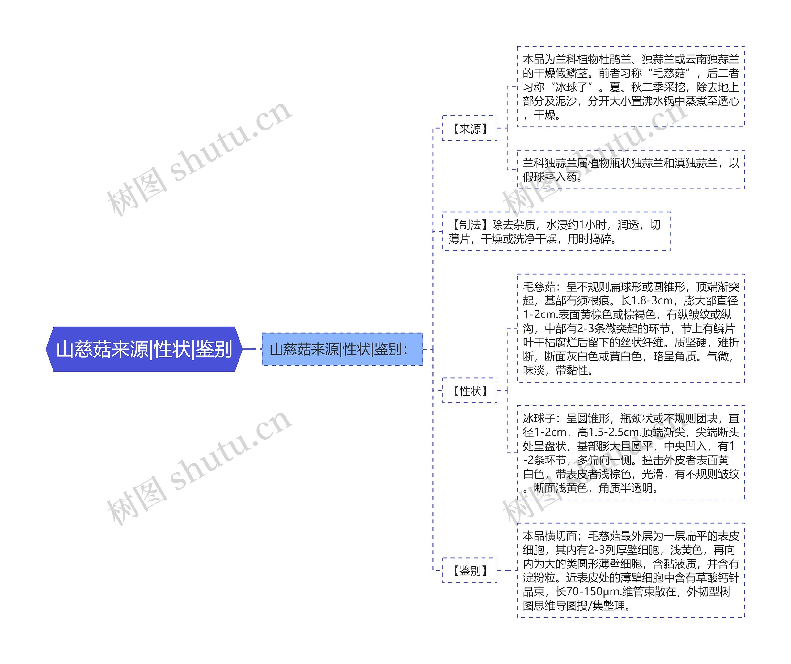 山慈菇来源|性状|鉴别思维导图