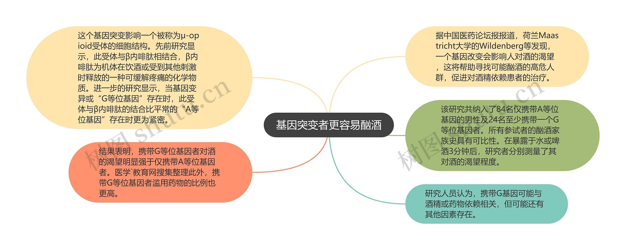 基因突变者更容易酗酒思维导图