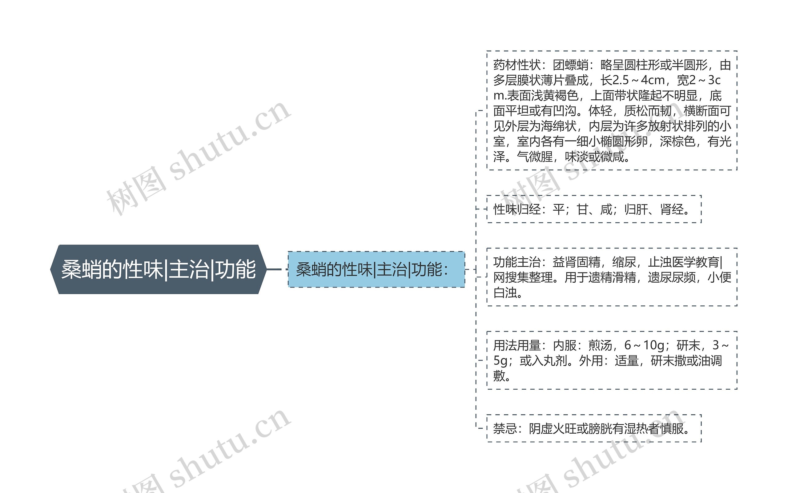 桑蛸的性味|主治|功能