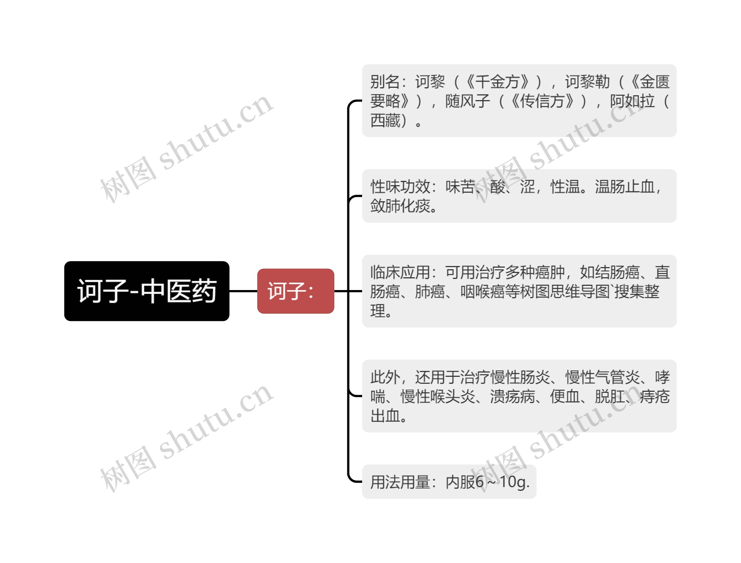 诃子-中医药思维导图