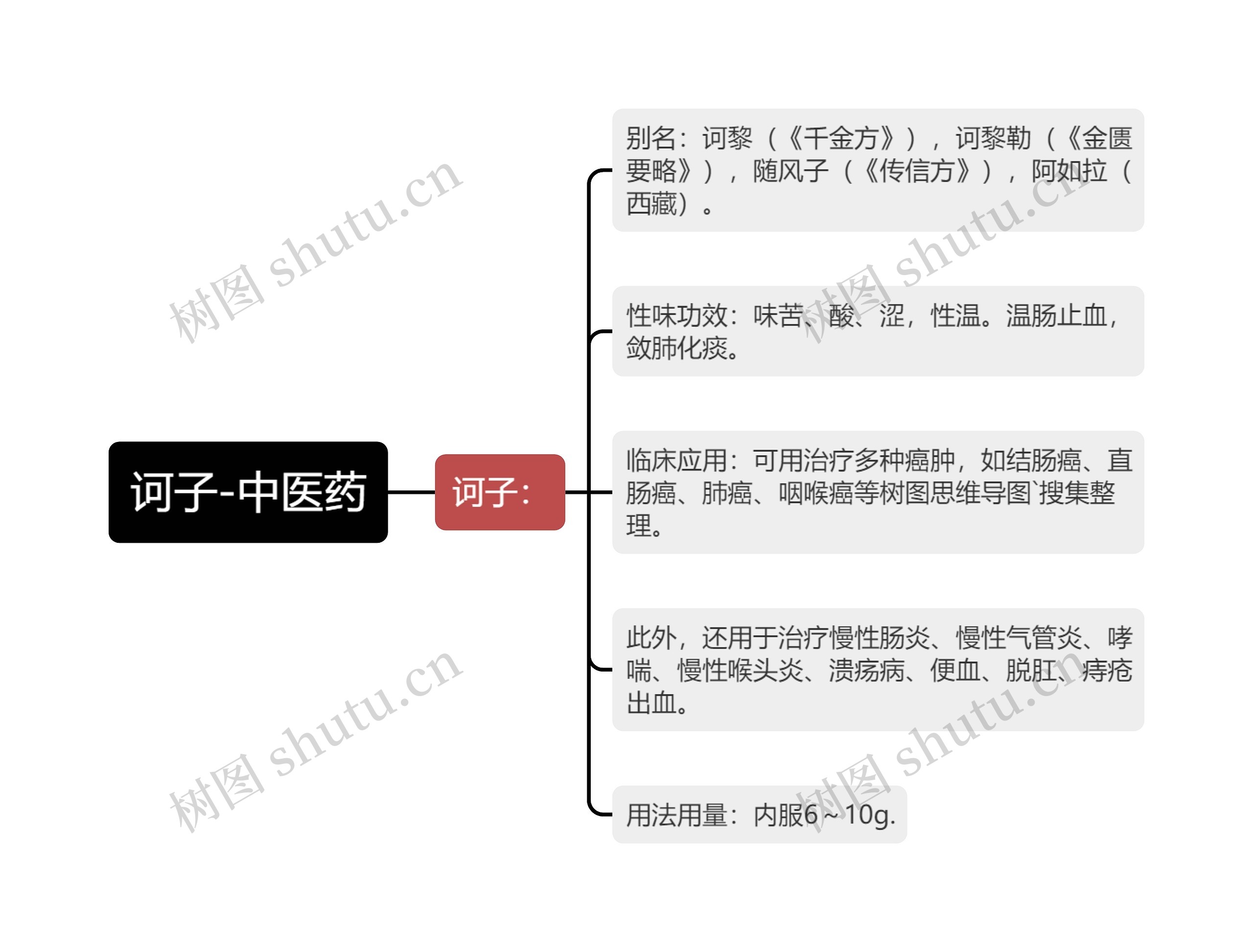 诃子-中医药 诃子-中医药