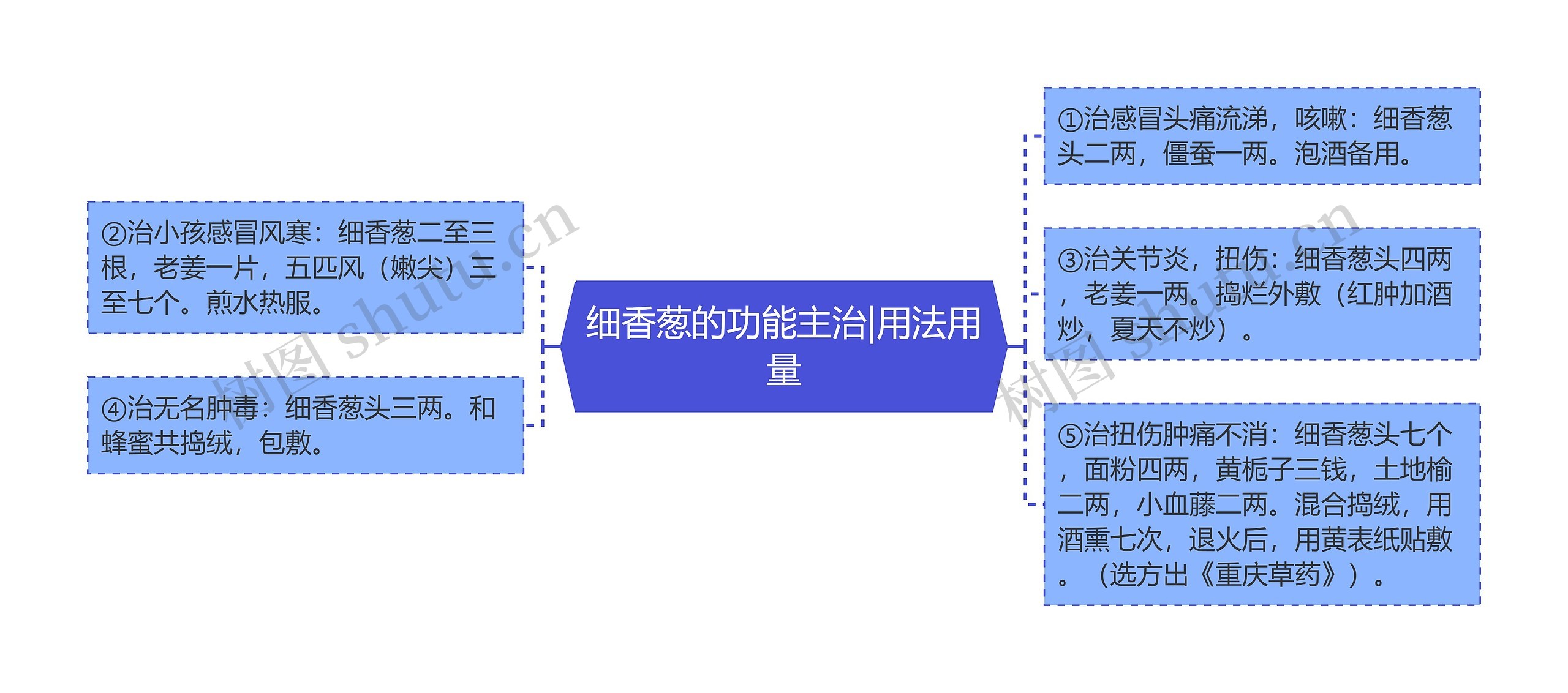 细香葱的功能主治|用法用量