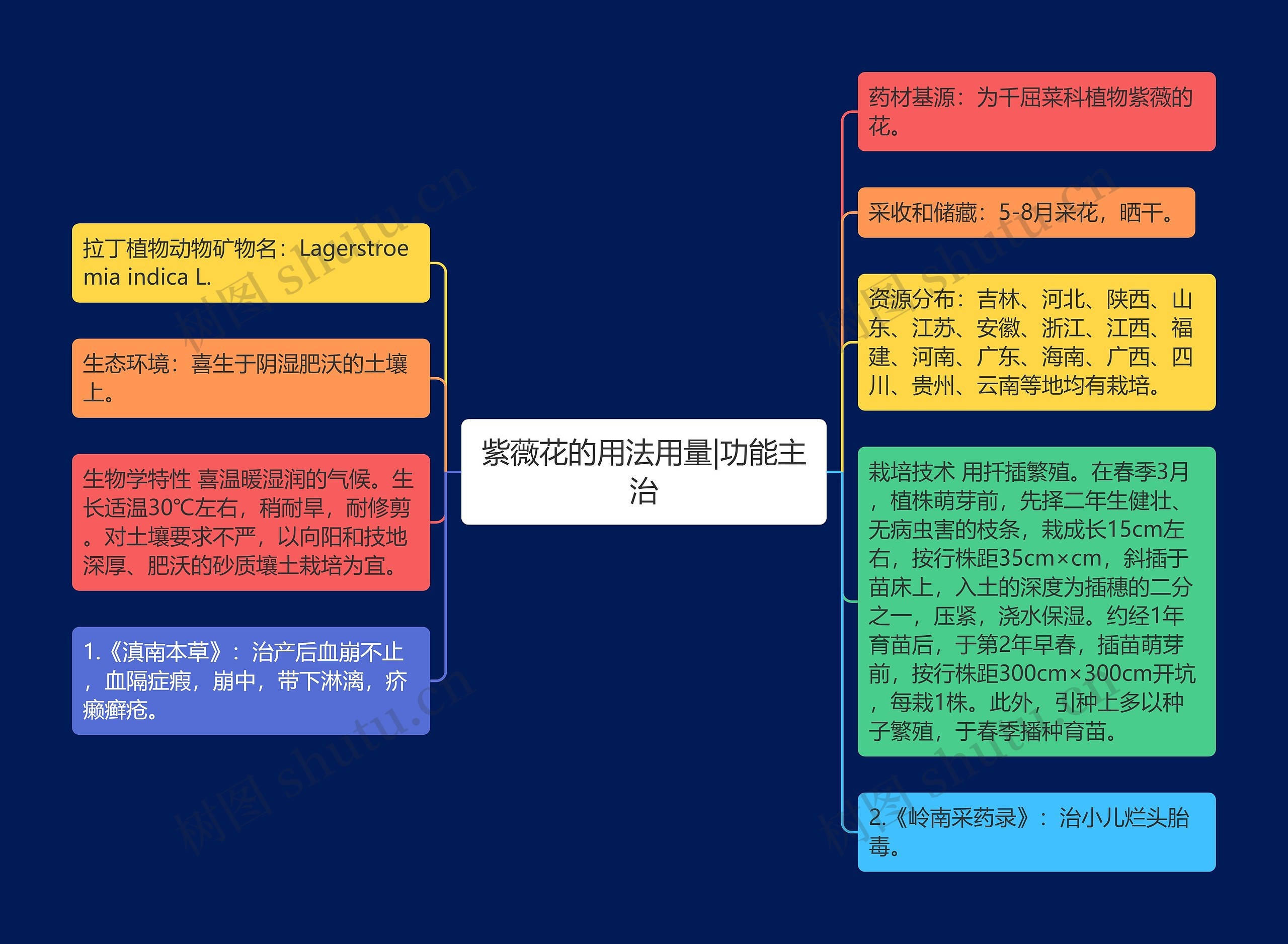 紫薇花的用法用量|功能主治思维导图