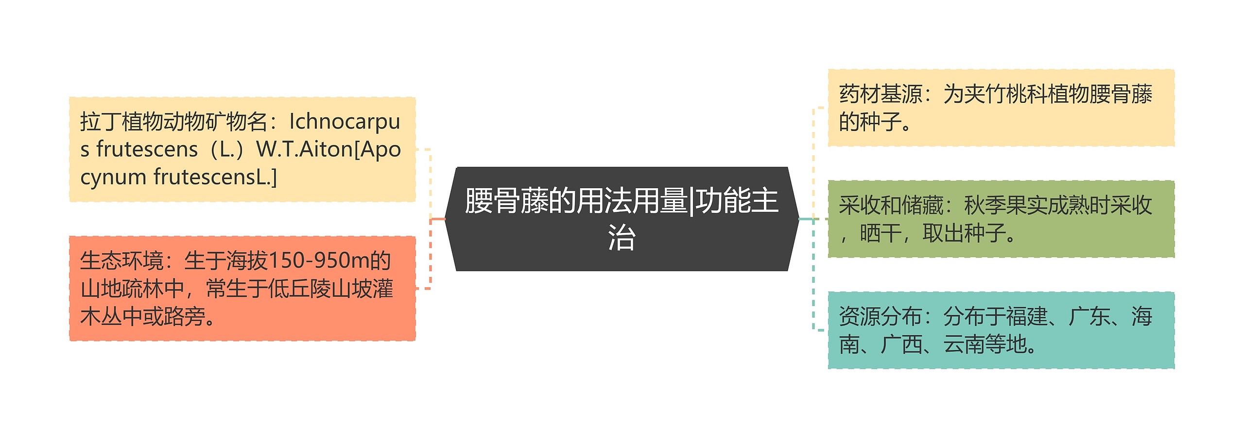 腰骨藤的用法用量|功能主治 腰骨藤的用法用量|功能主治