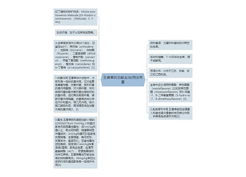 五香草的功能主治|用法用量