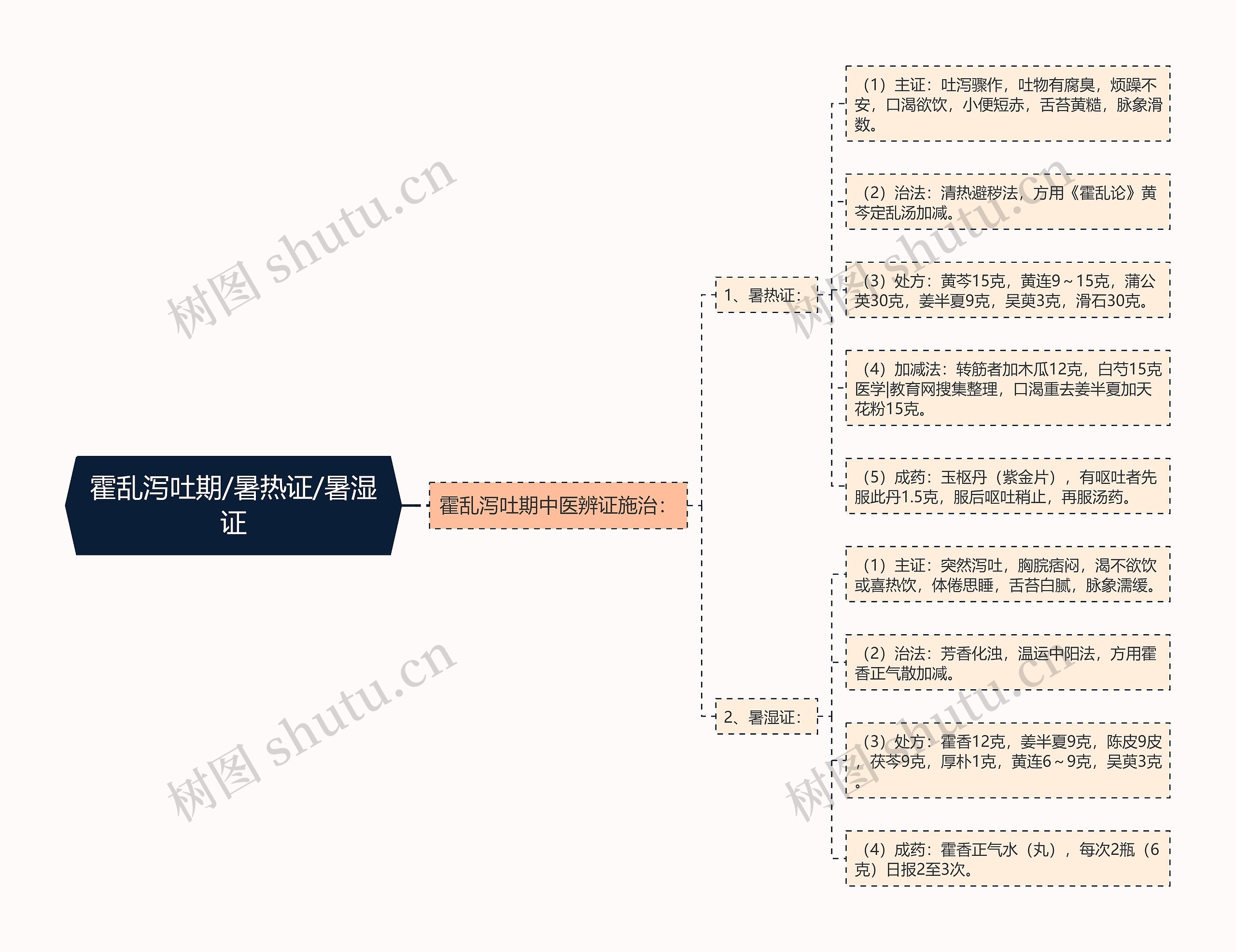 霍乱泻吐期/暑热证/暑湿证