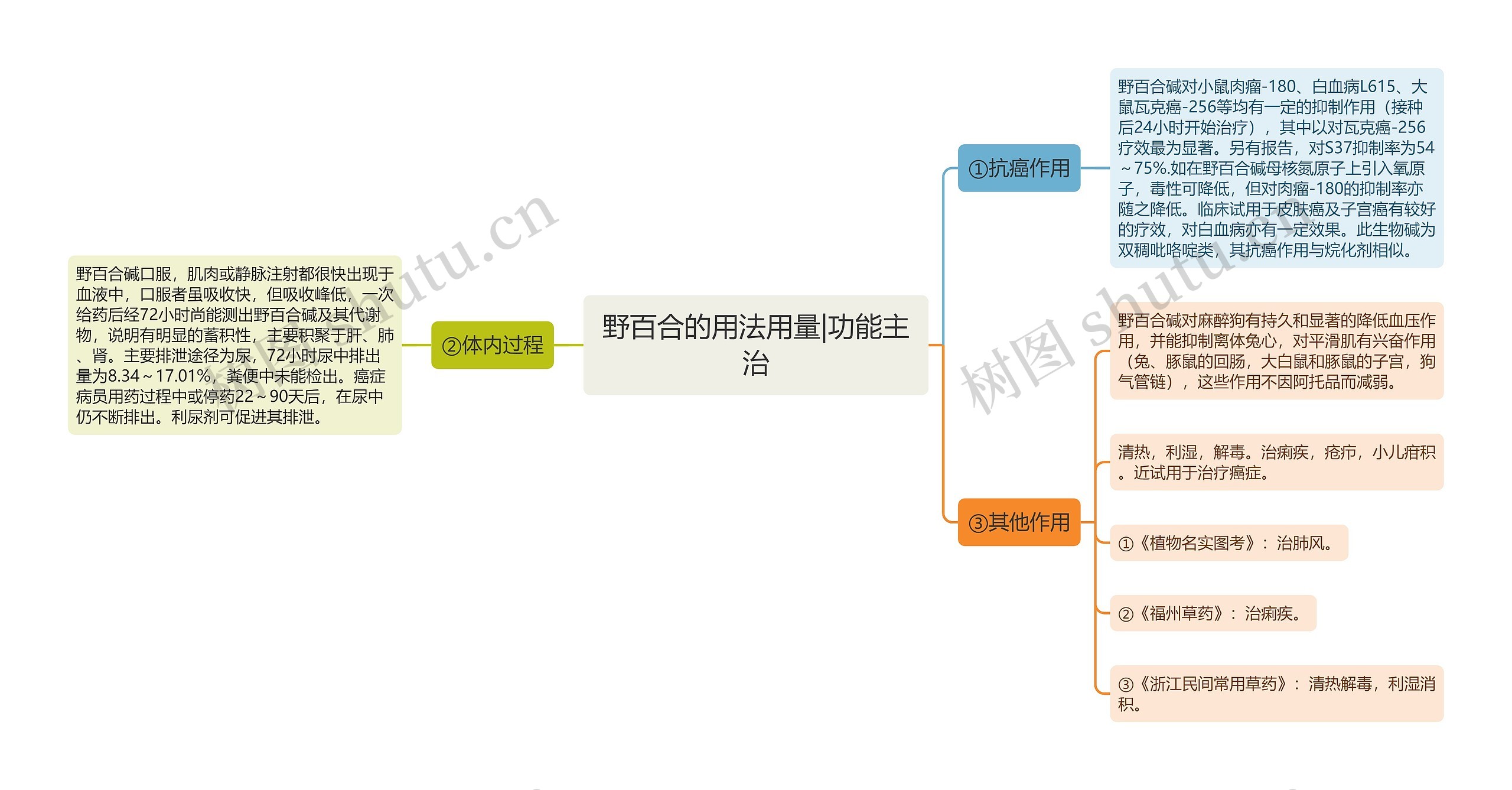 野百合的用法用量|功能主治思维导图