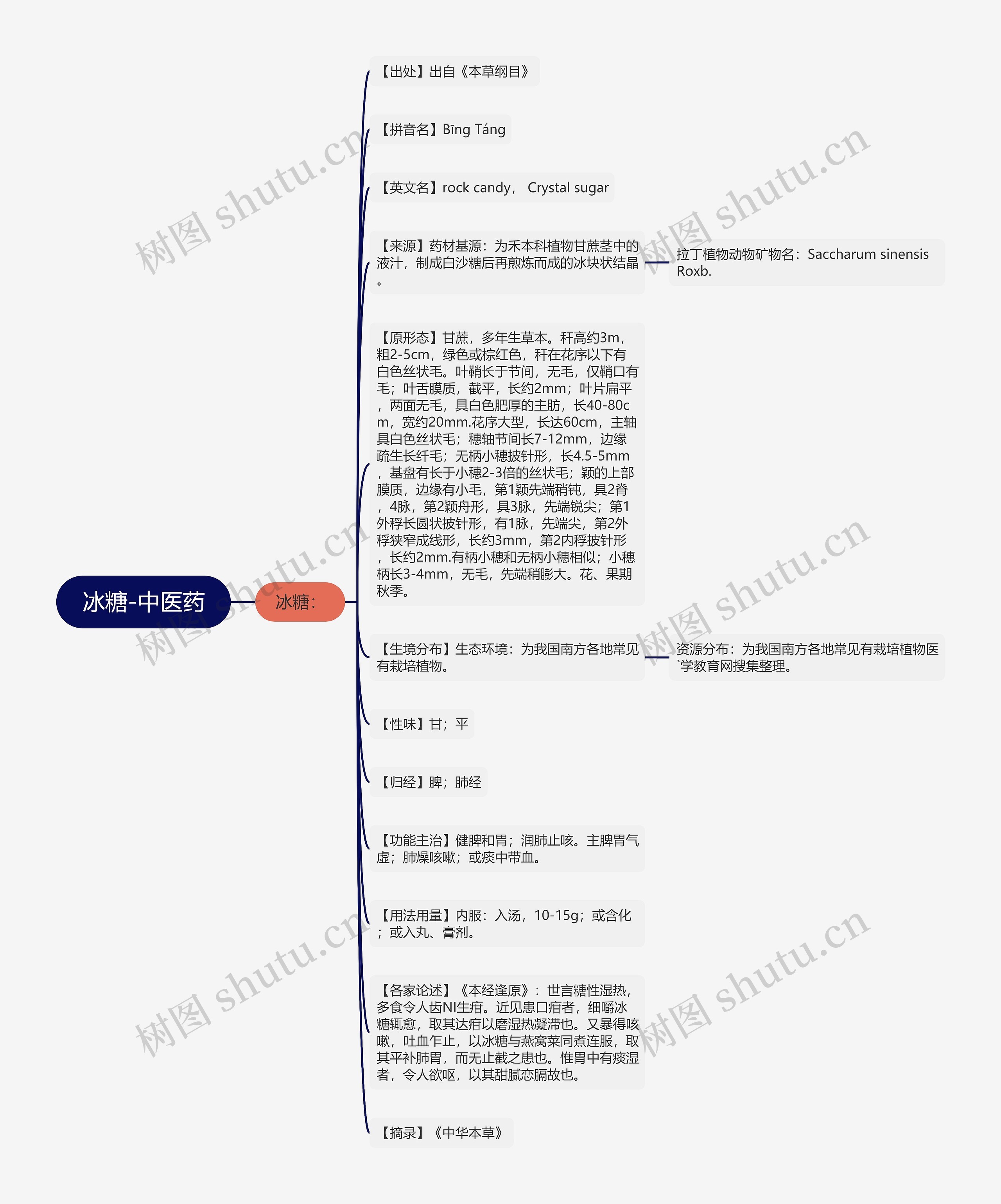 冰糖-中医药思维导图