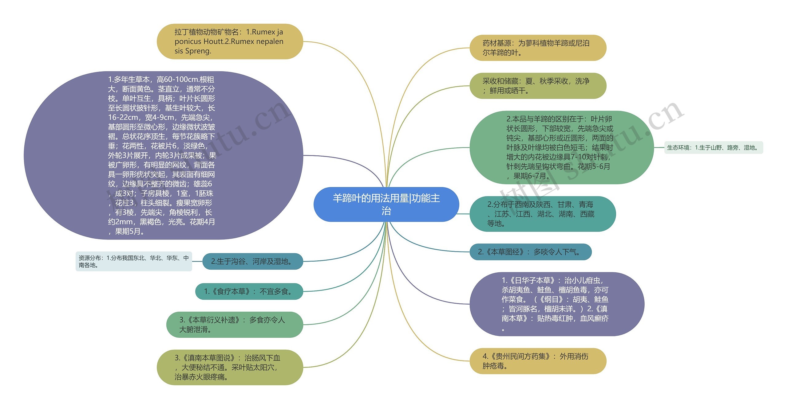 羊蹄叶的用法用量|功能主治