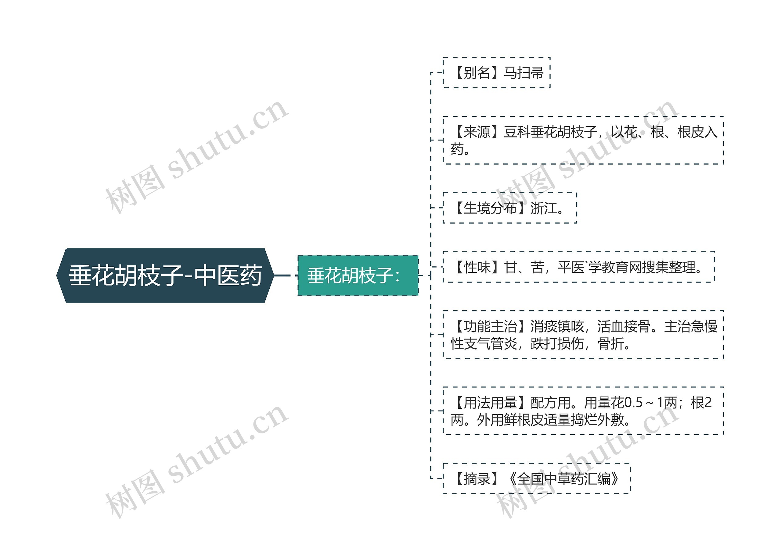 垂花胡枝子-中医药思维导图