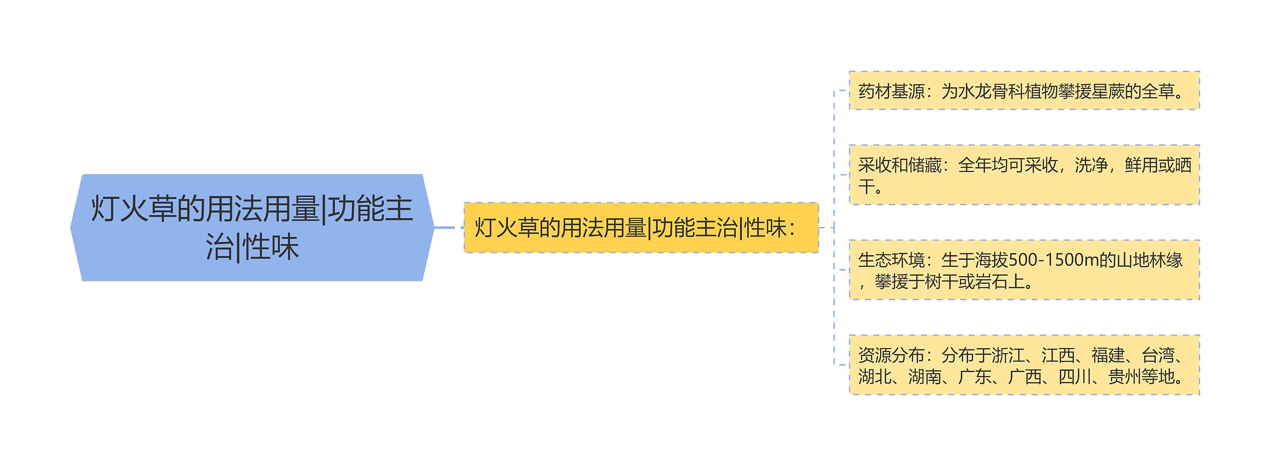 灯火草的用法用量|功能主治|性味思维导图