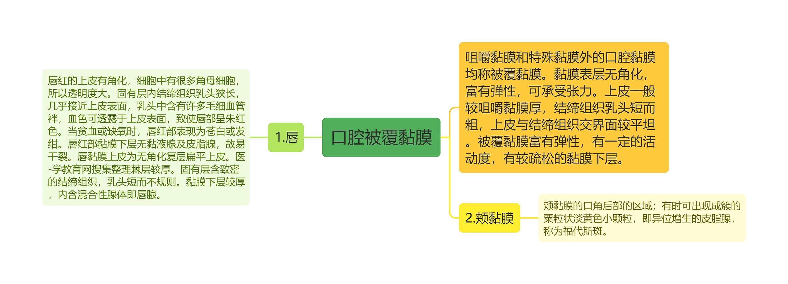 口腔被覆黏膜