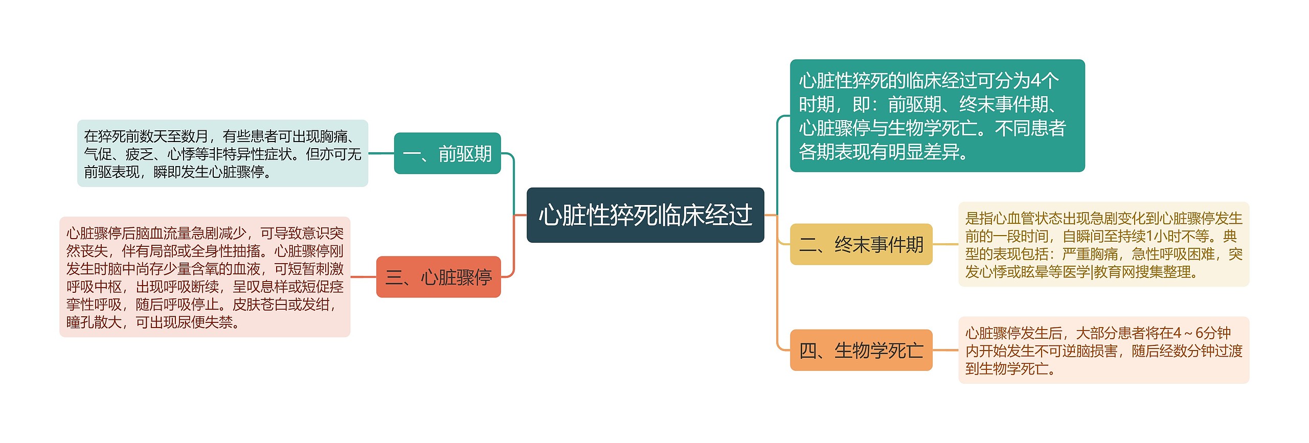 心脏性猝死临床经过思维导图