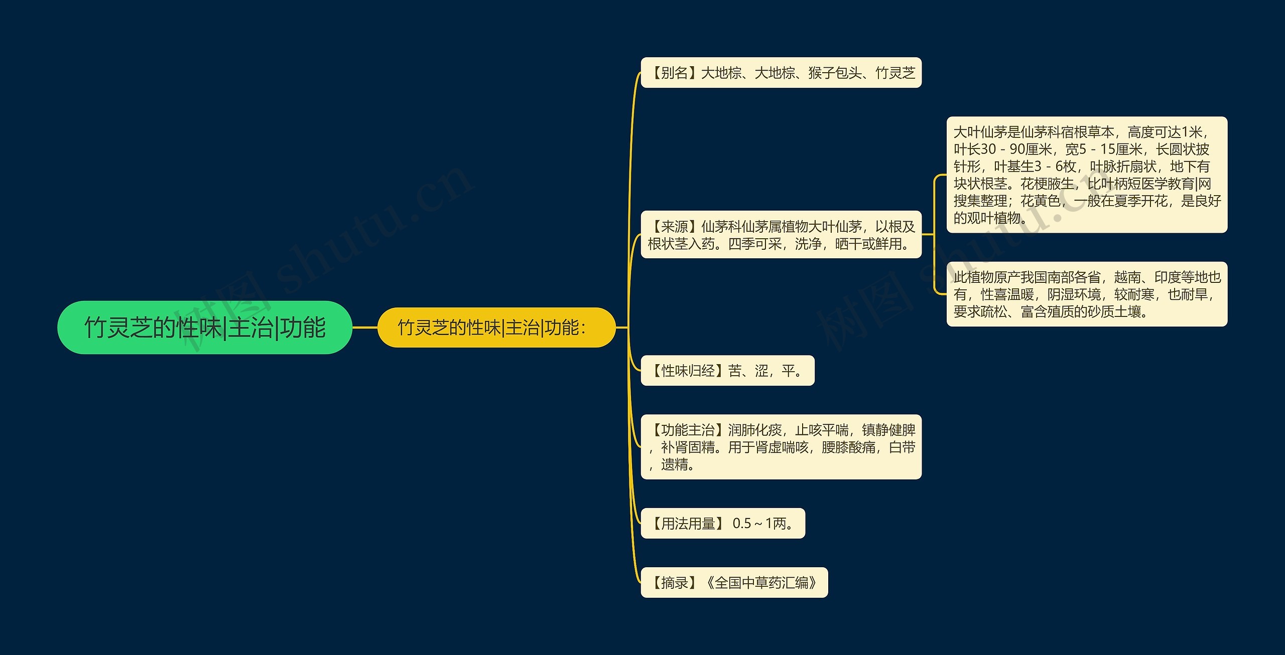 竹灵芝的性味|主治|功能