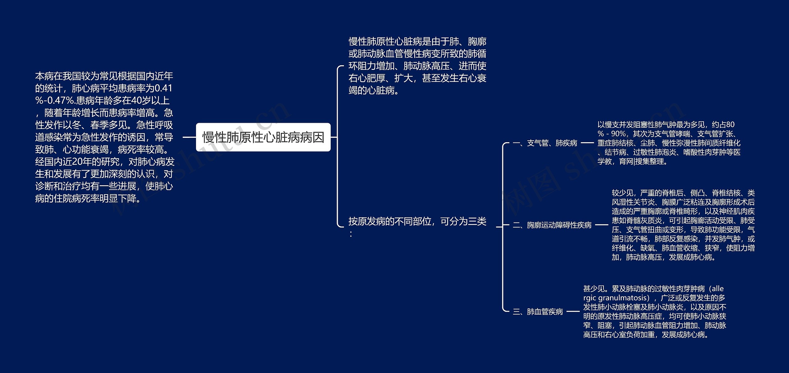 慢性肺原性心脏病病因思维导图