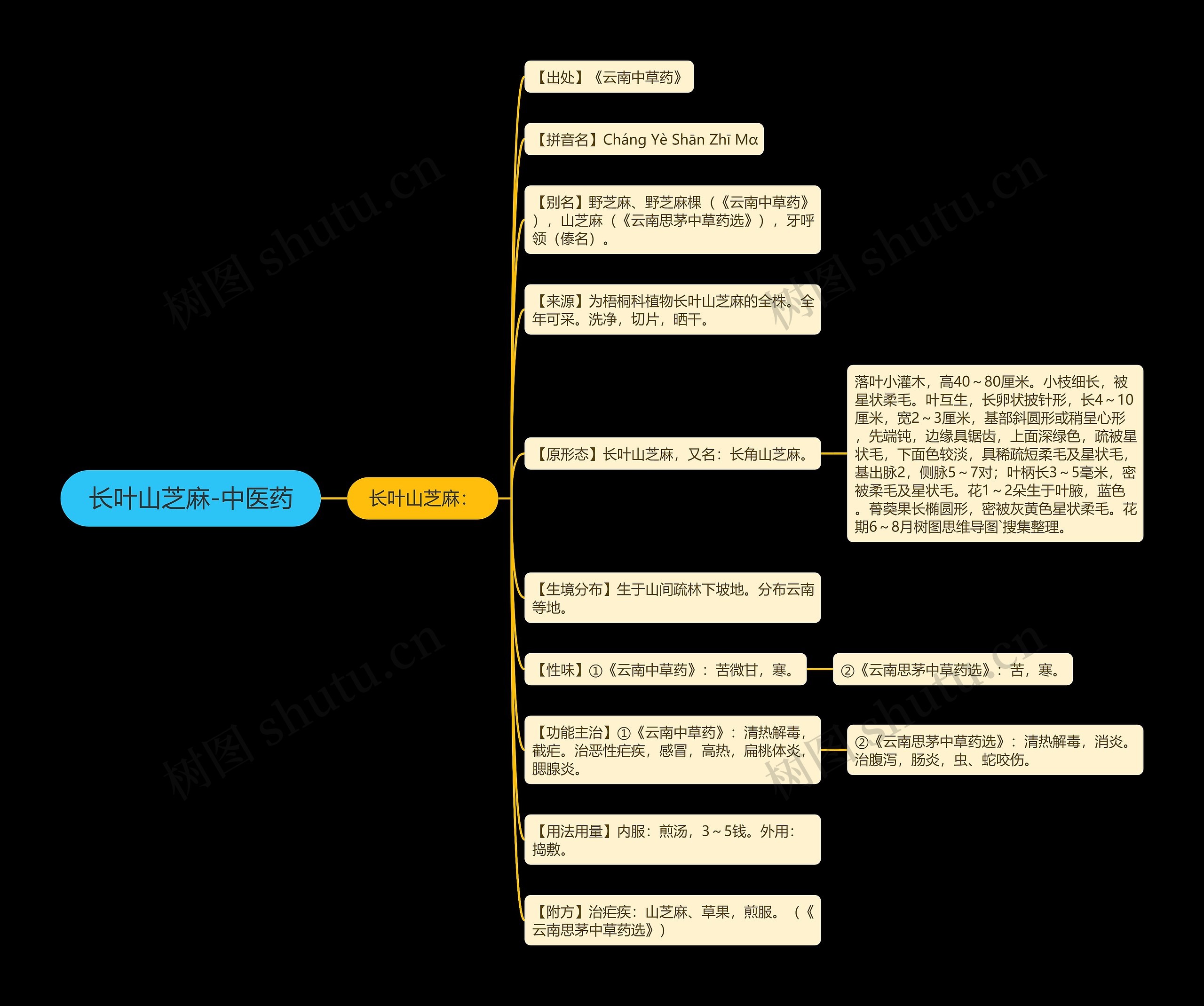 长叶山芝麻-中医药思维导图