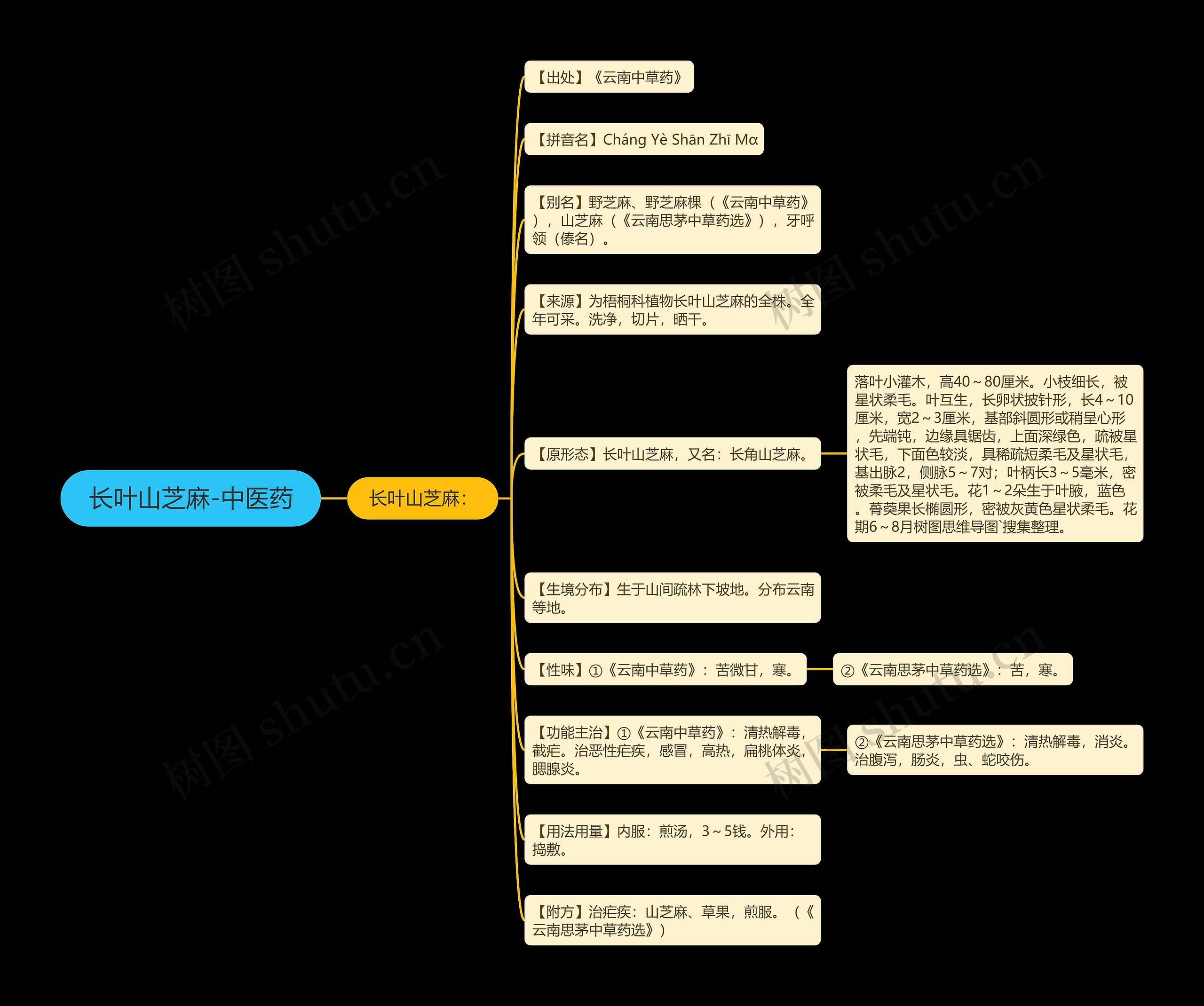 长叶山芝麻-中医药 长叶山芝麻-中医药