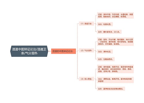 湿温中医辩证论治/湿遏卫表/气分湿热