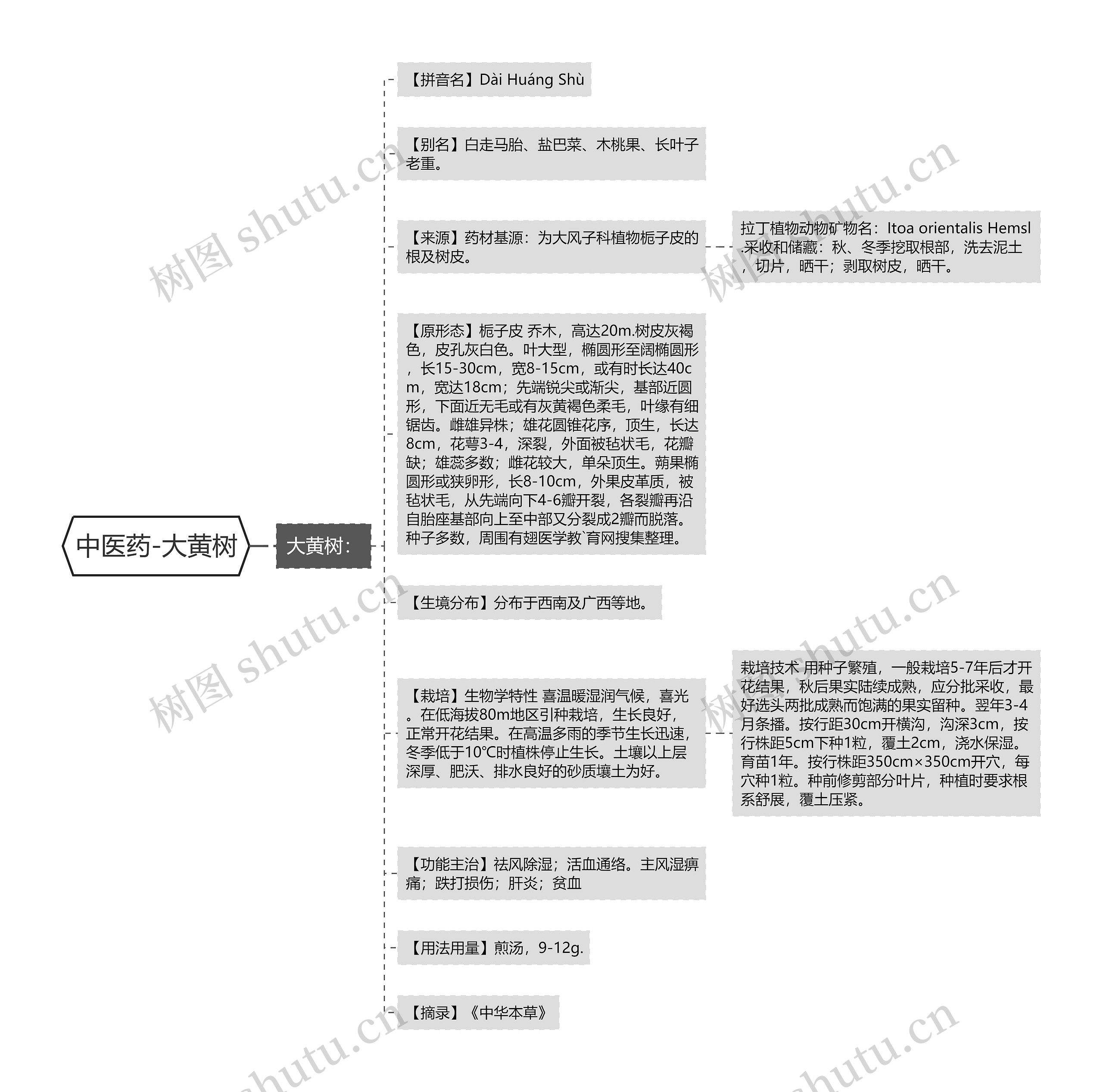 中医药-大黄树 中医药-大黄树