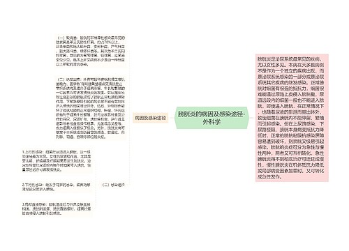 膀胱炎的病因及感染途径-外科学