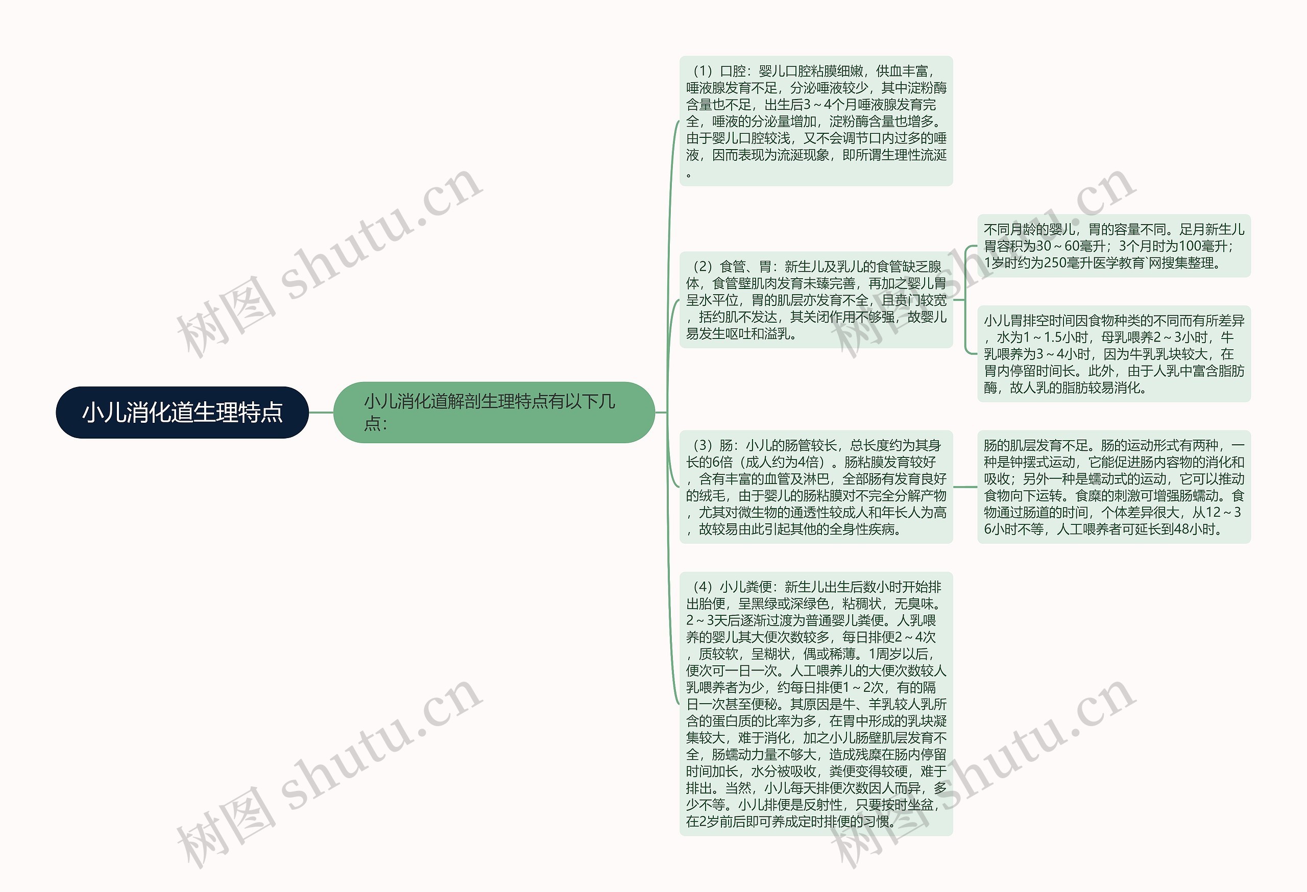 小儿消化道生理特点思维导图