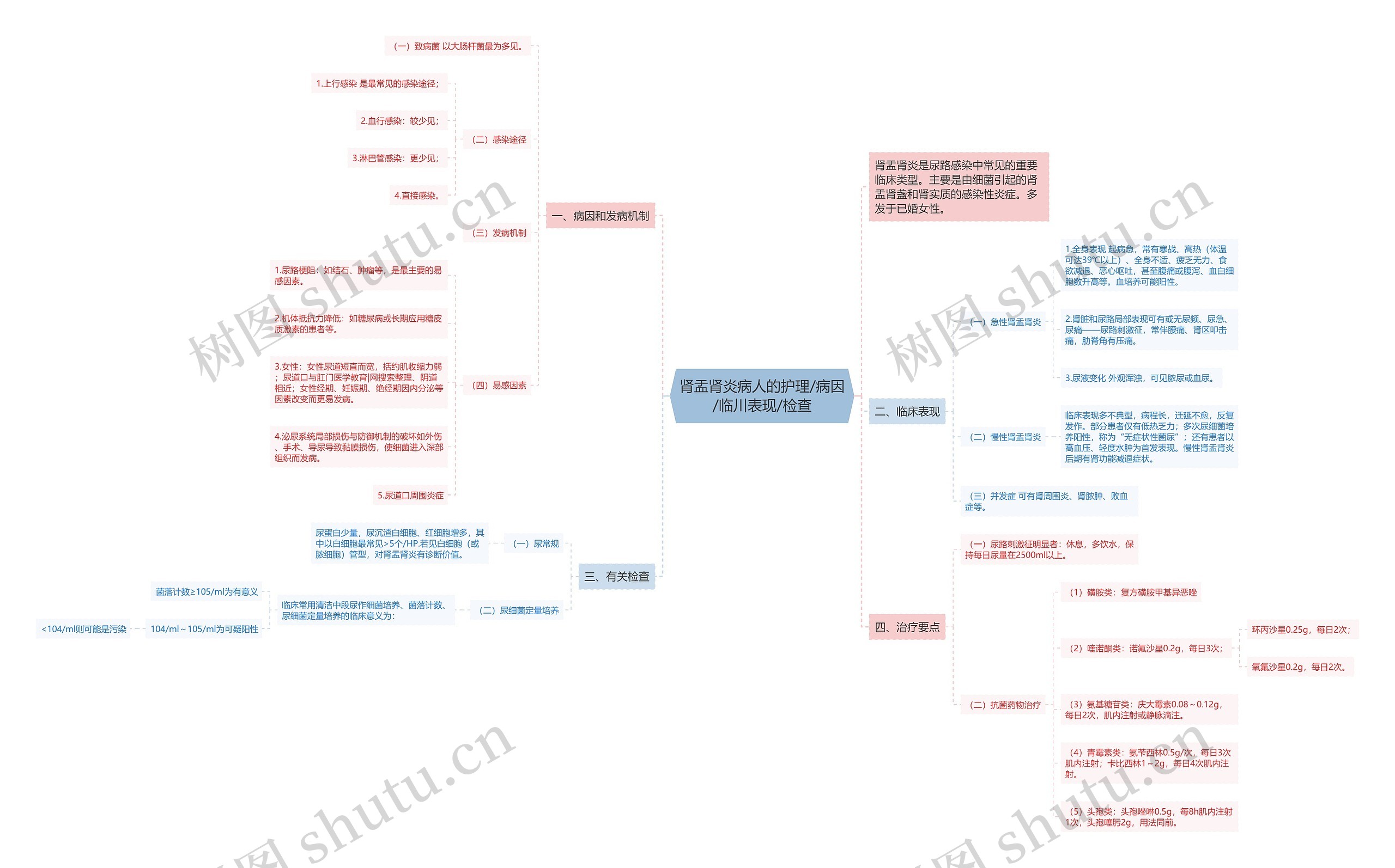 肾盂肾炎病人的护理/病因/临川表现/检查 肾盂肾炎病人的护理/病因/临川表现/检查
