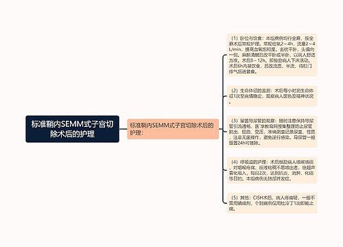 标准鞘内SEMM式子宫切除术后的护理