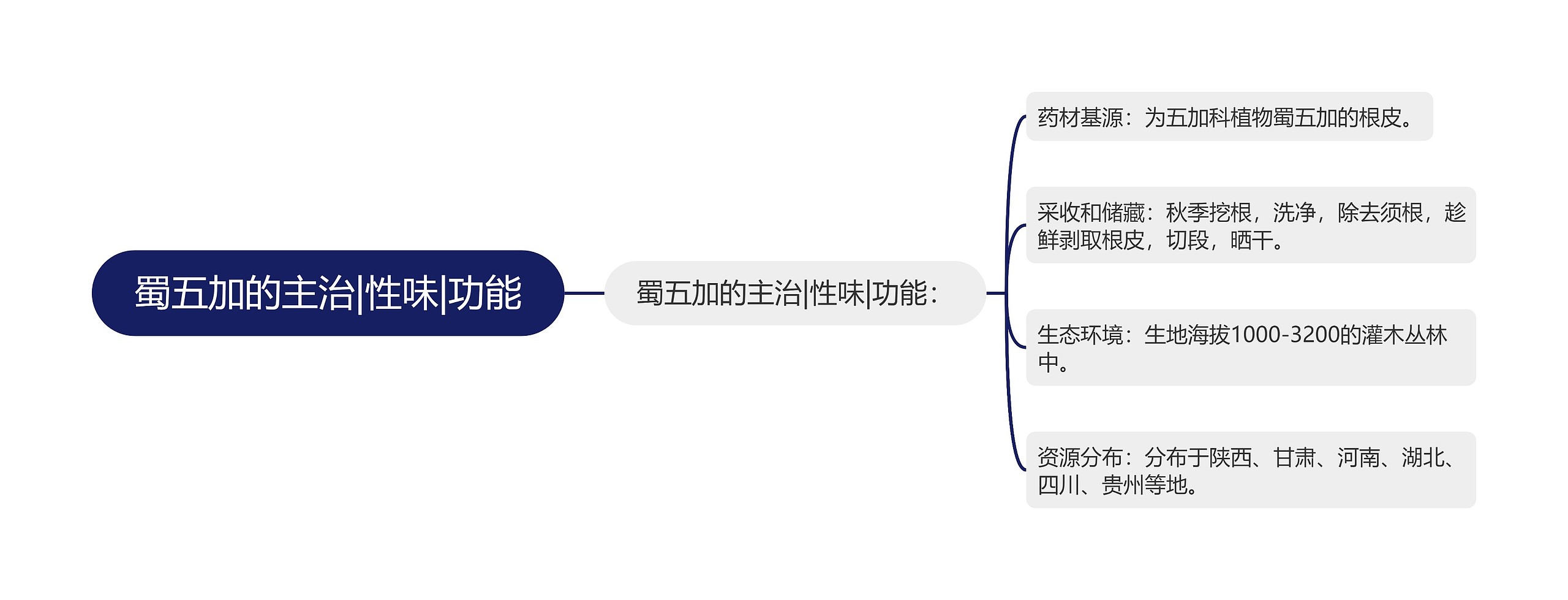 蜀五加的主治|性味|功能