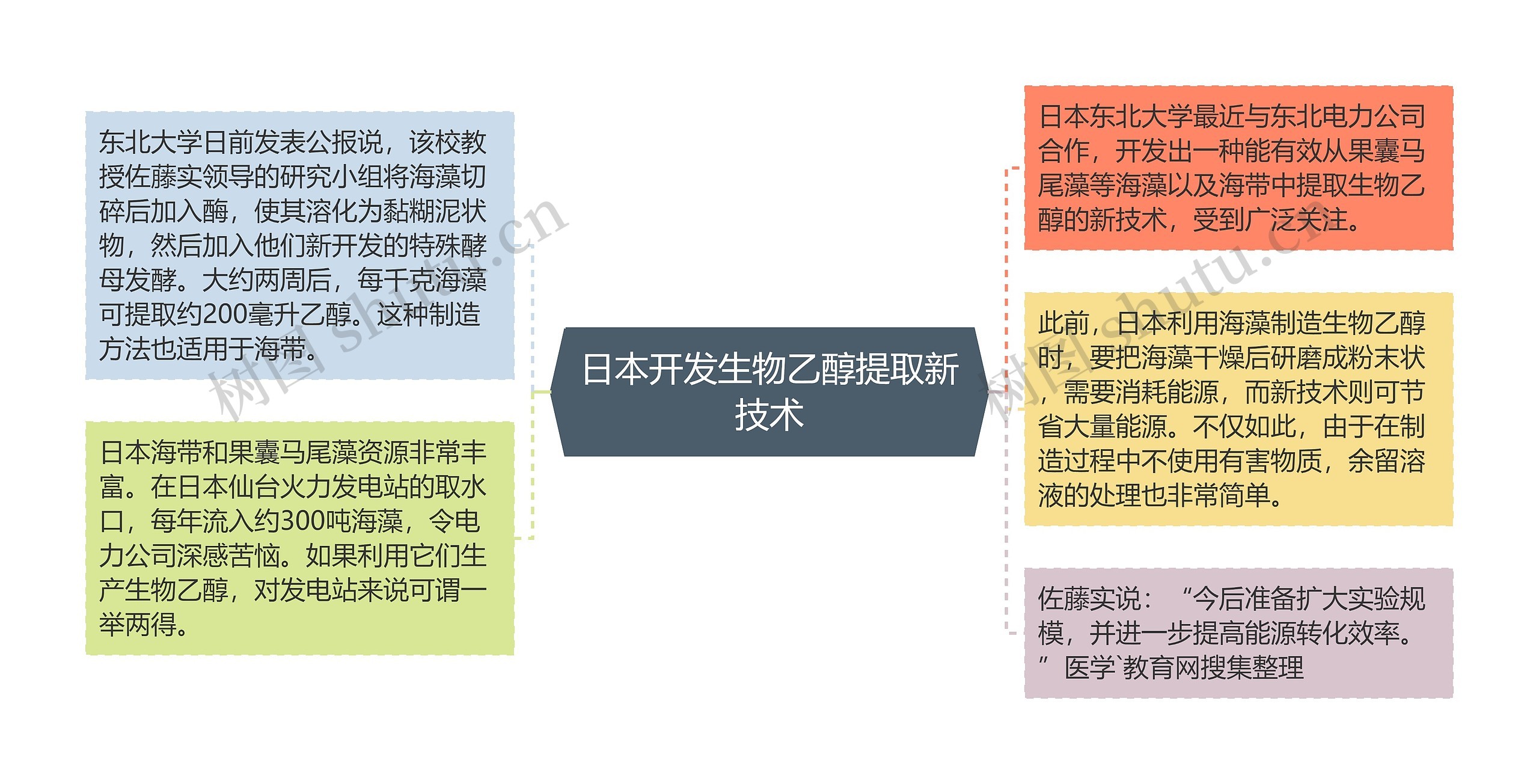 日本开发生物乙醇提取新技术思维导图