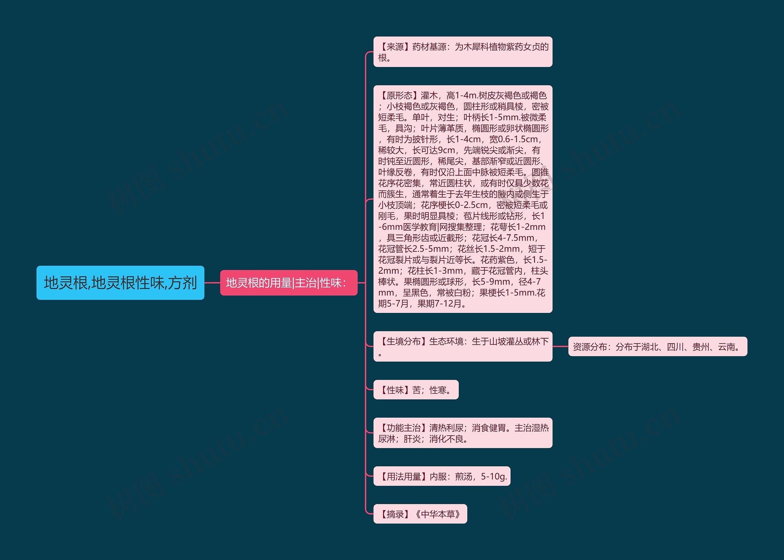 地灵根,地灵根性味,方剂思维导图