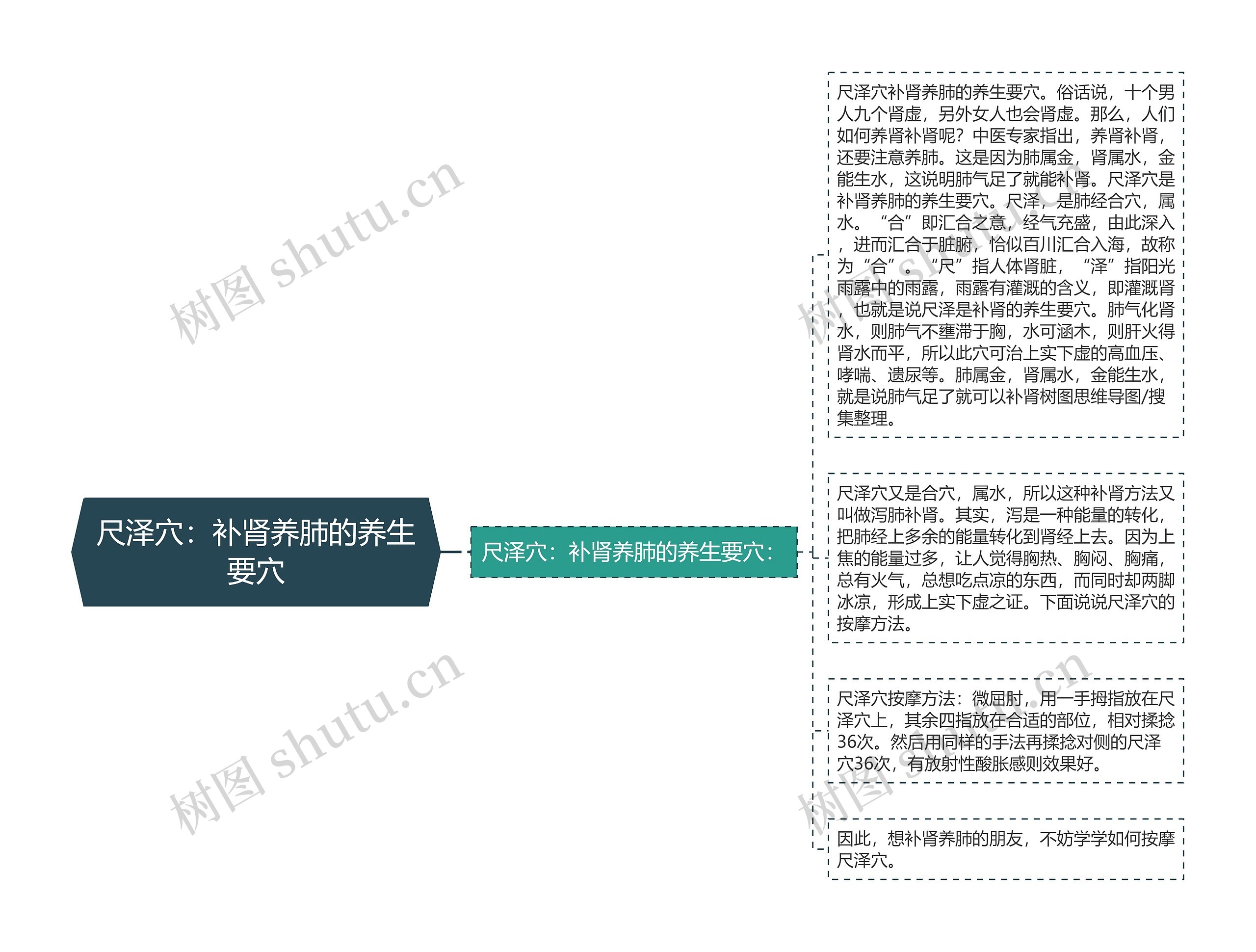 尺泽穴：补肾养肺的养生要穴