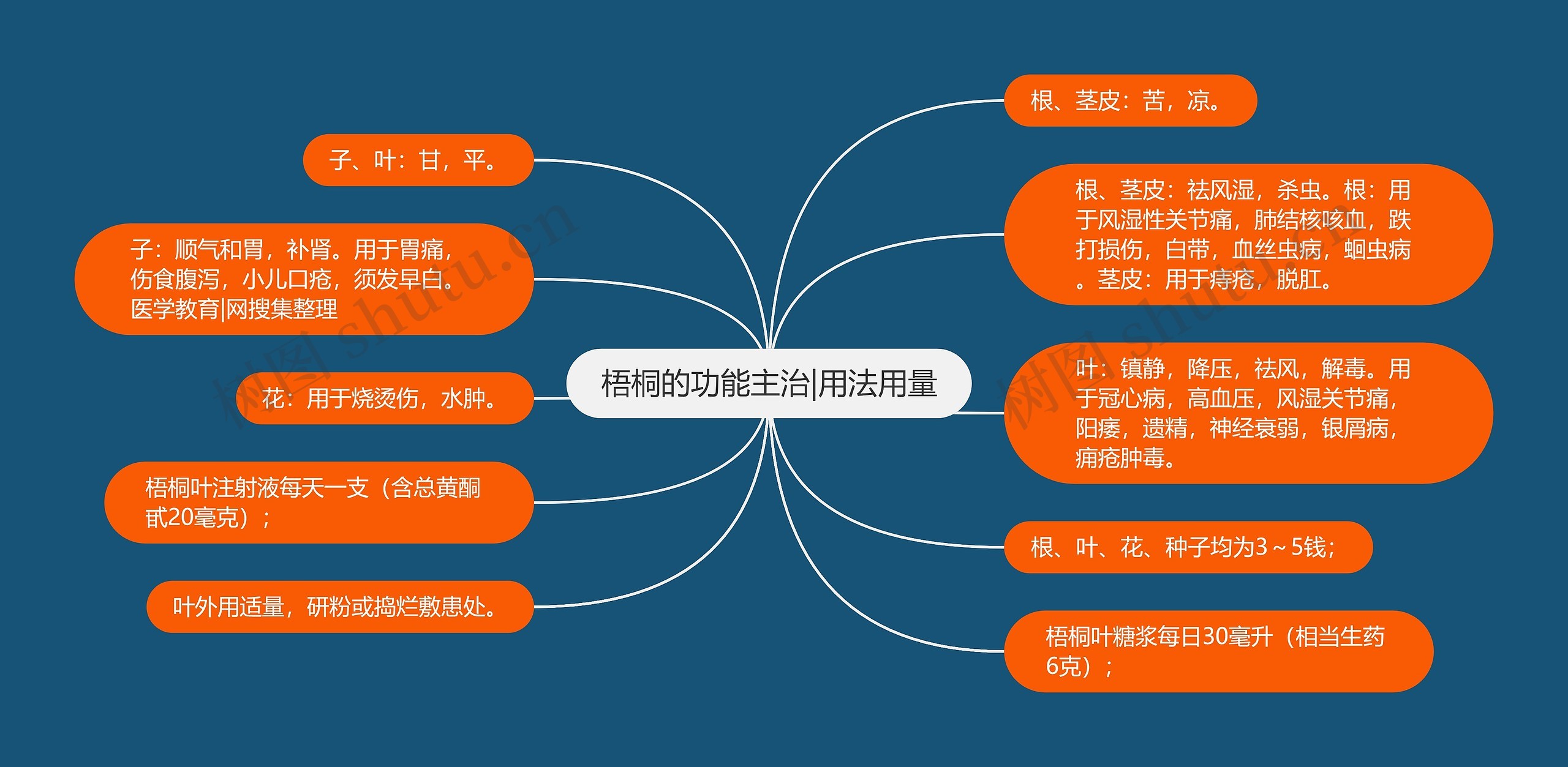 梧桐的功能主治|用法用量