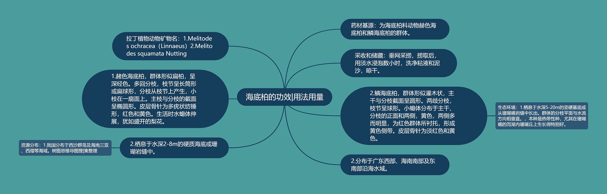 海底柏的功效|用法用量思维导图