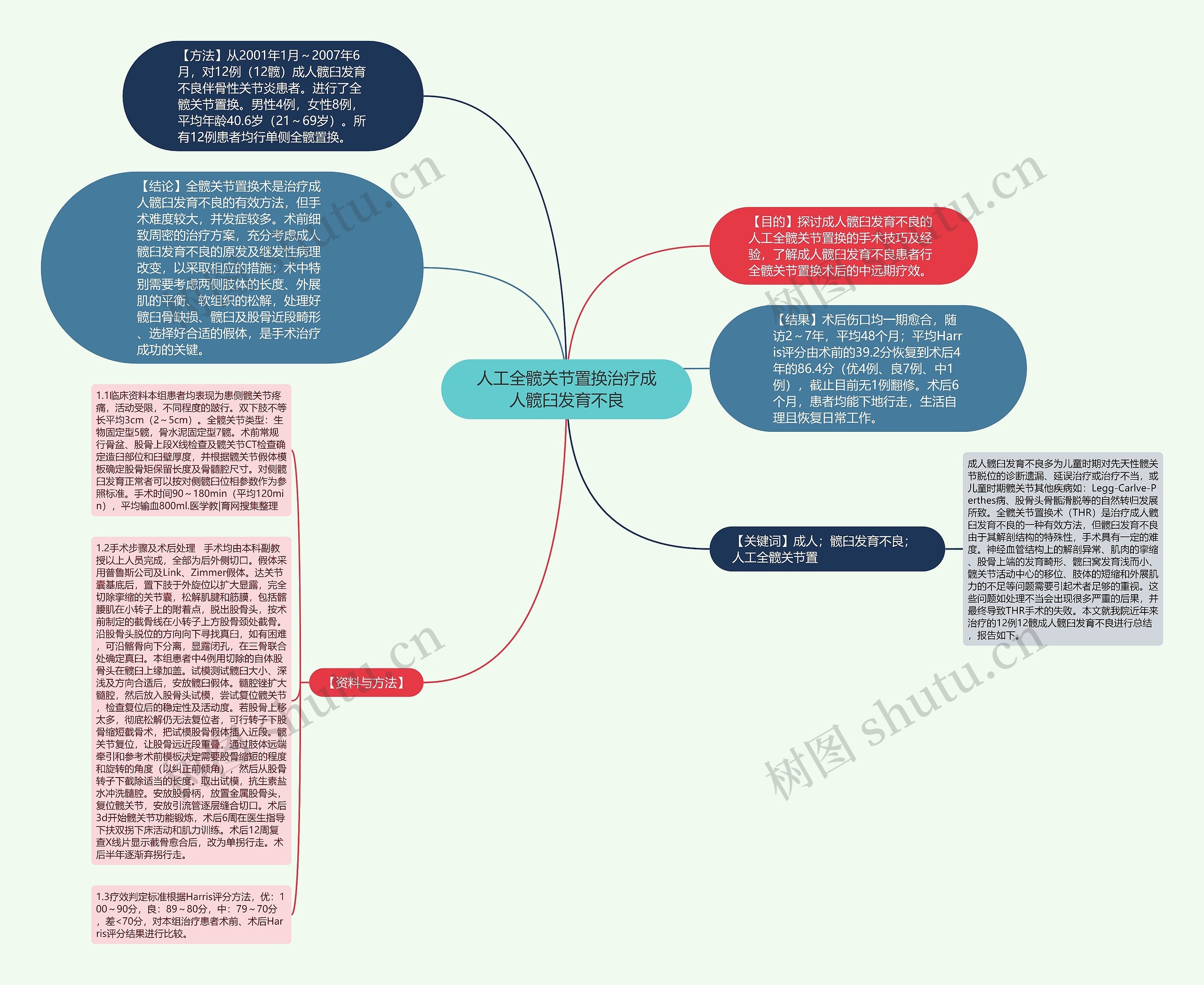 人工全髋关节置换治疗成人髋臼发育不良 人工全髋关节置换治疗成人髋臼发育不良