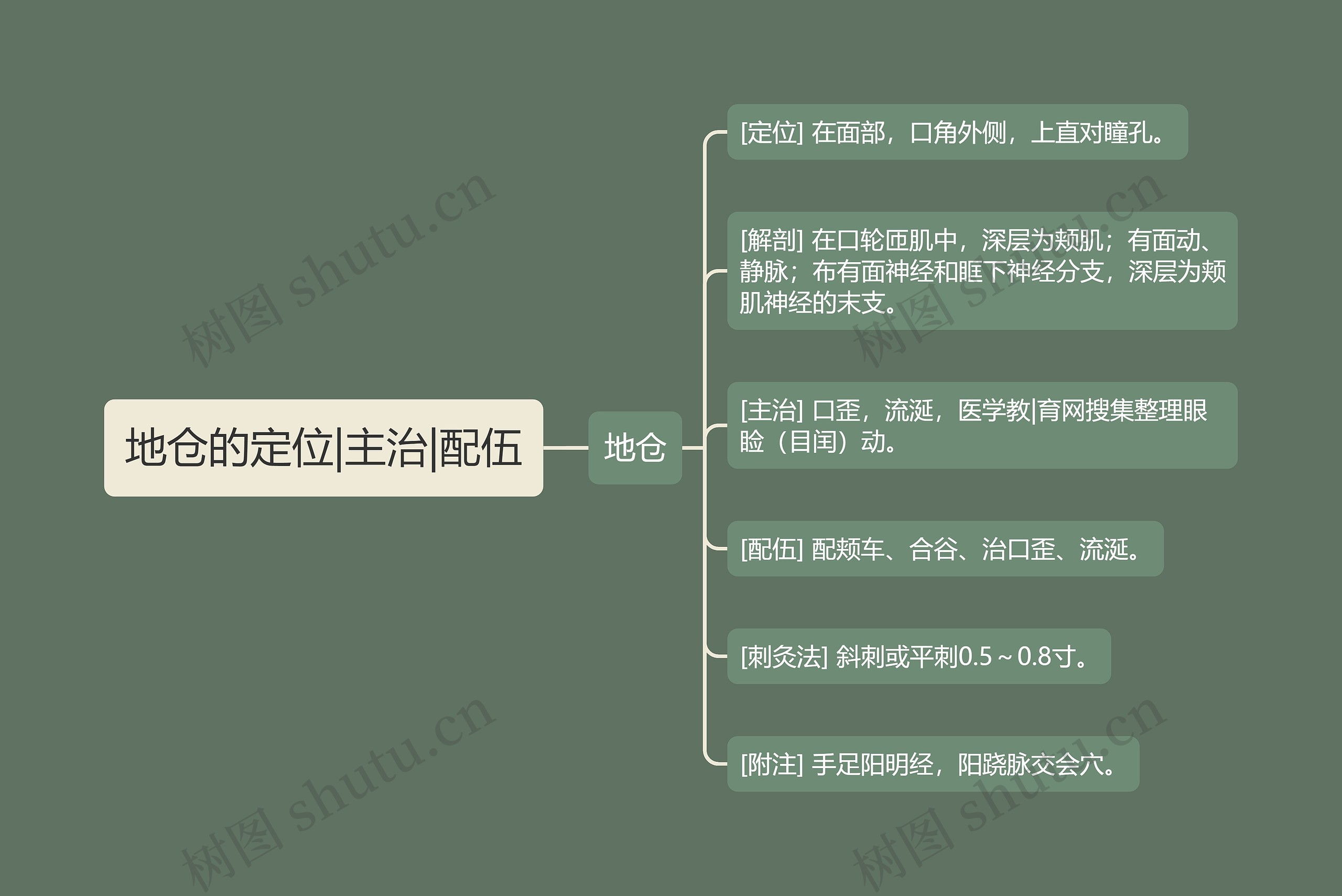 地仓的定位|主治|配伍