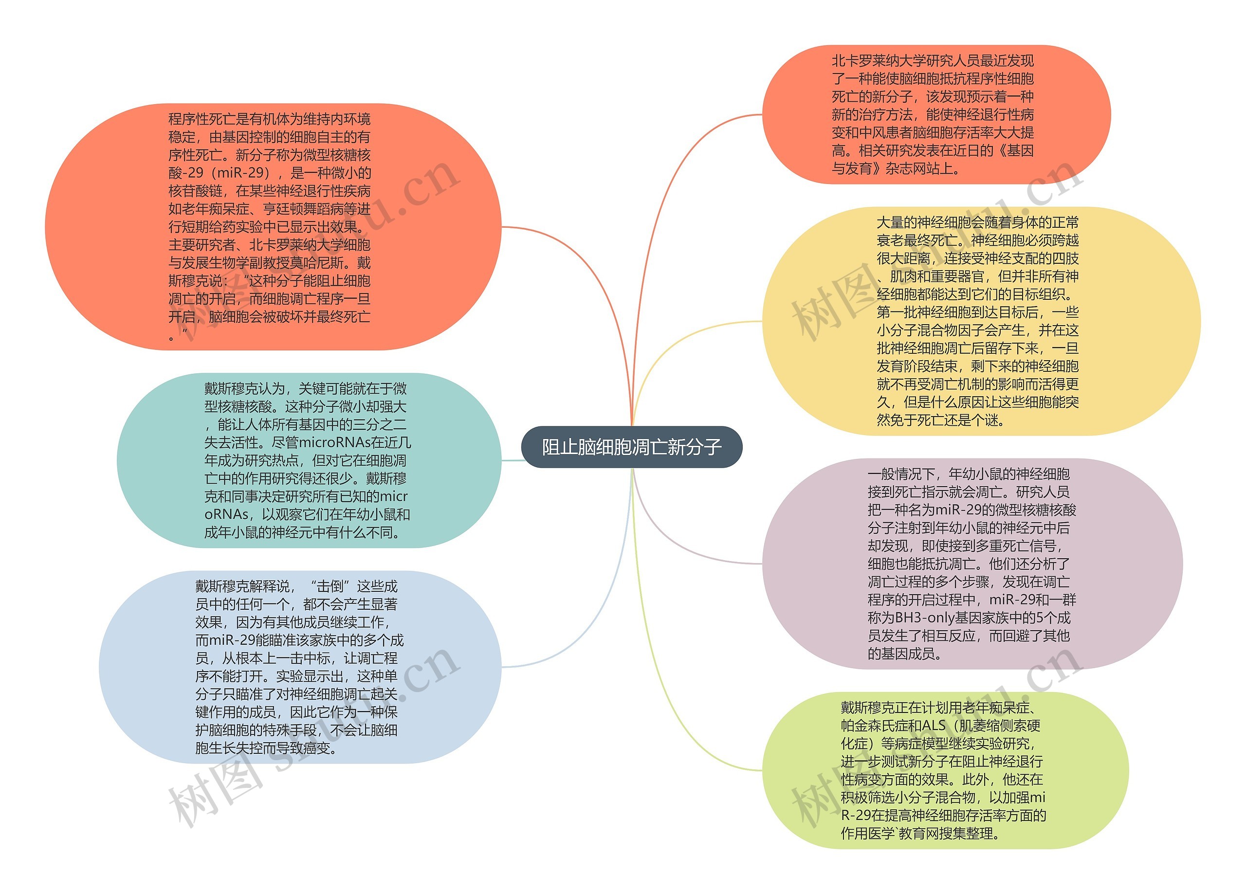 阻止脑细胞凋亡新分子