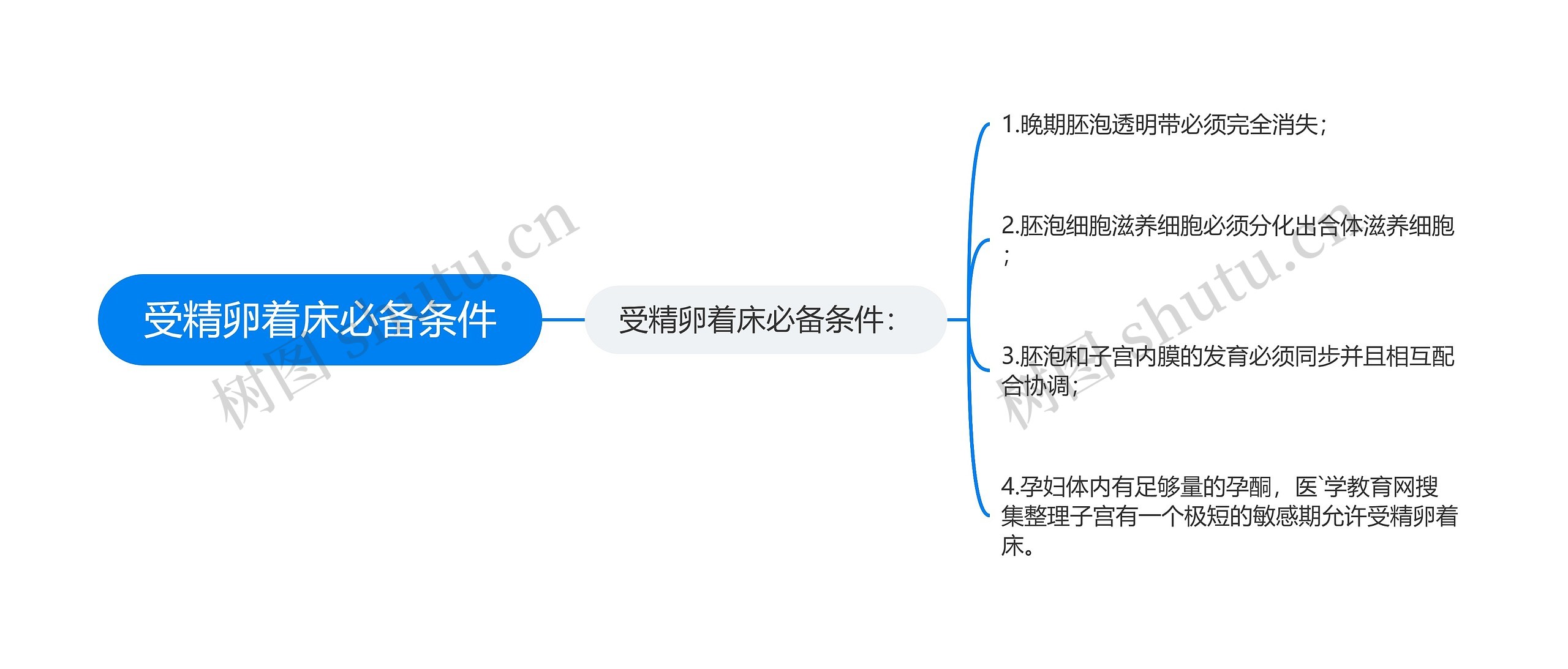 受精卵着床必备条件思维导图