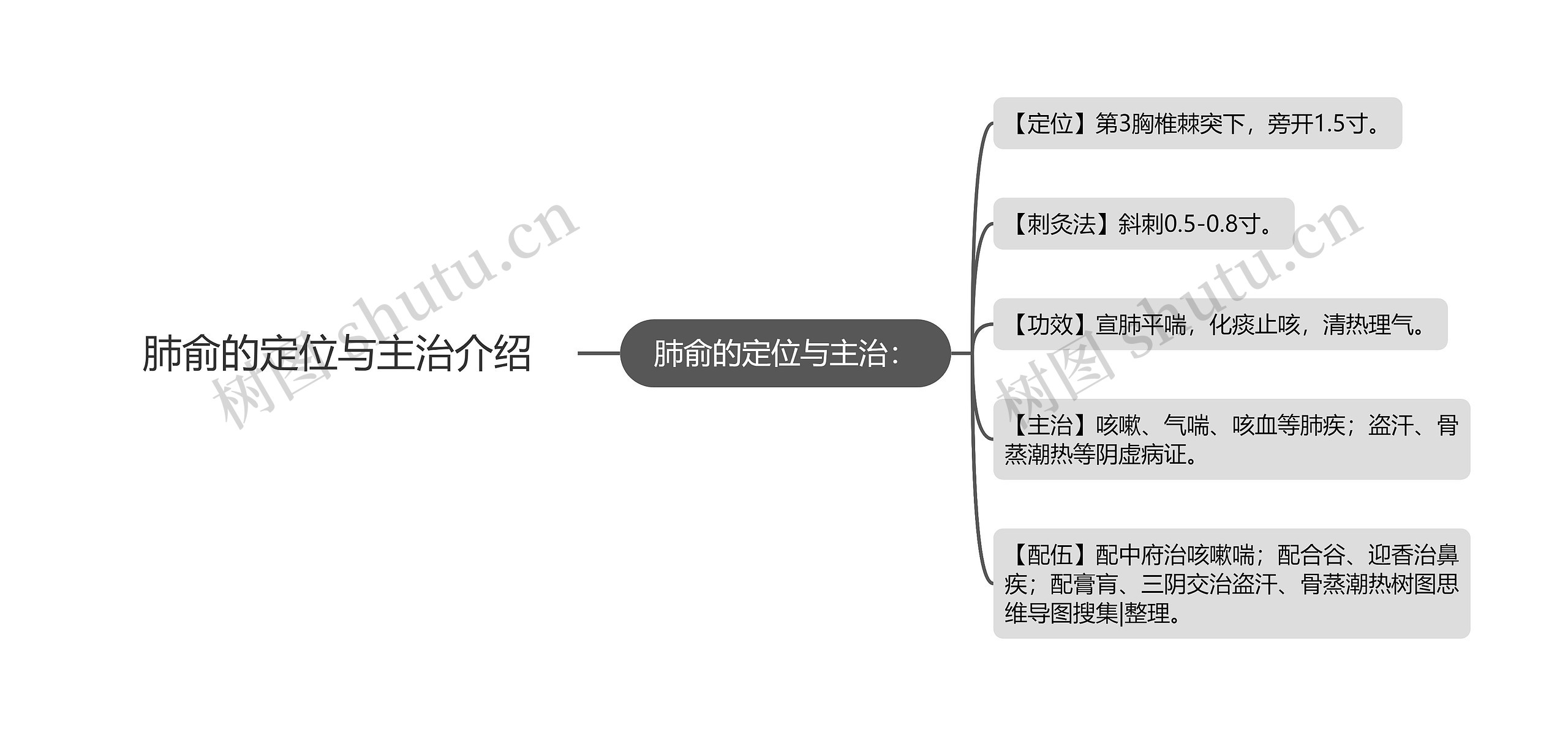 肺俞的定位与主治介绍思维导图