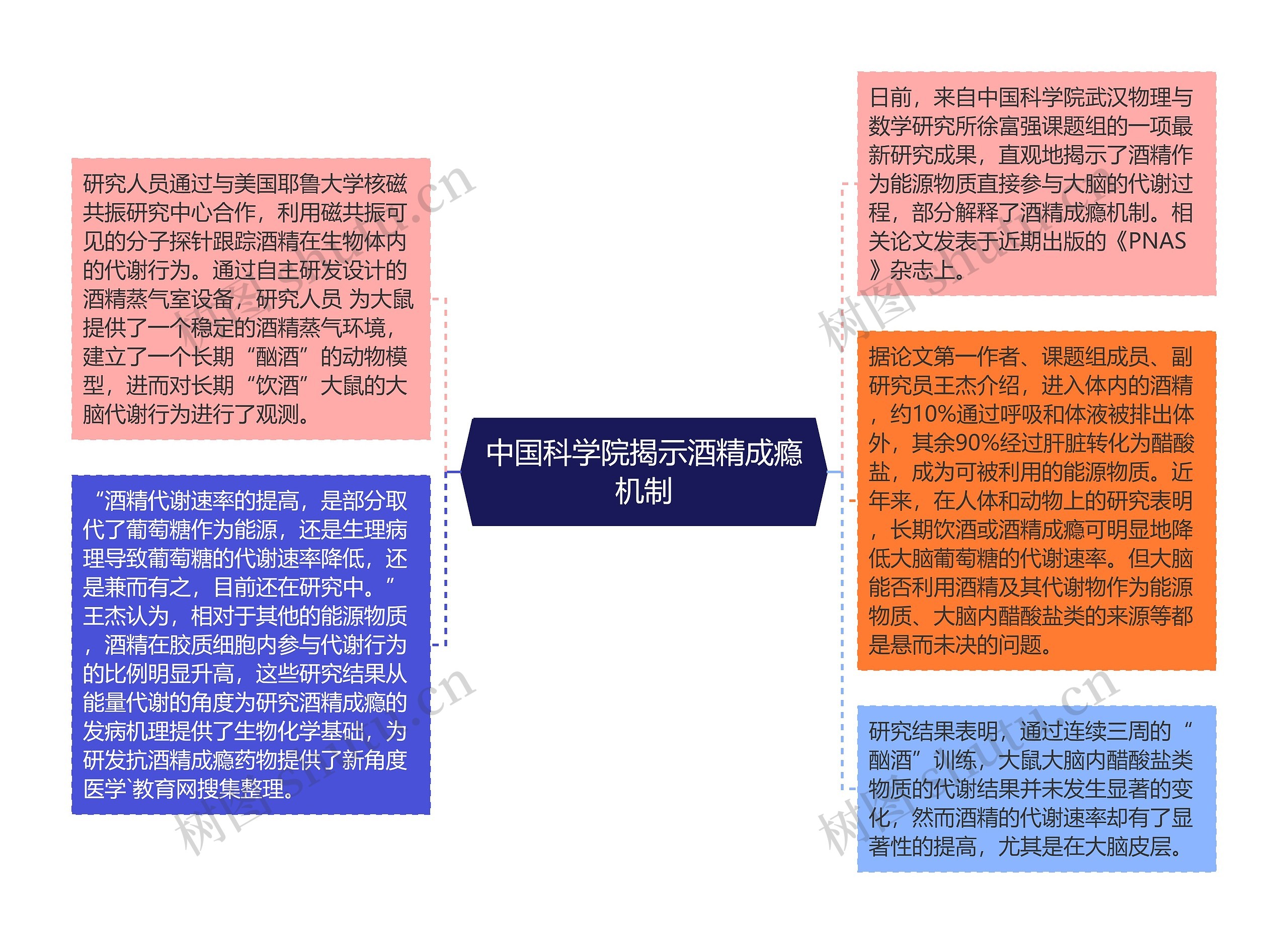 中国科学院揭示酒精成瘾机制思维导图